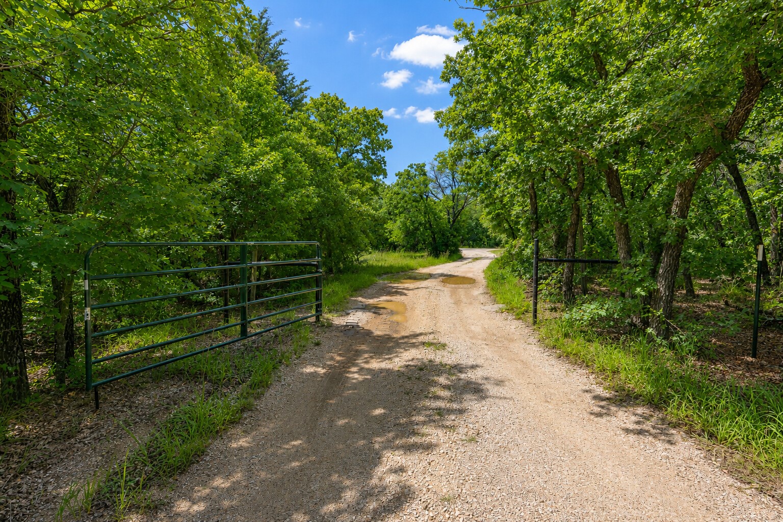 289 County Road 1661