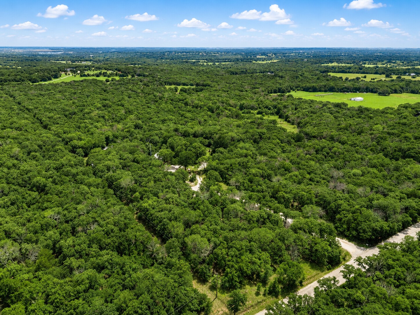 289 County Road 1661
