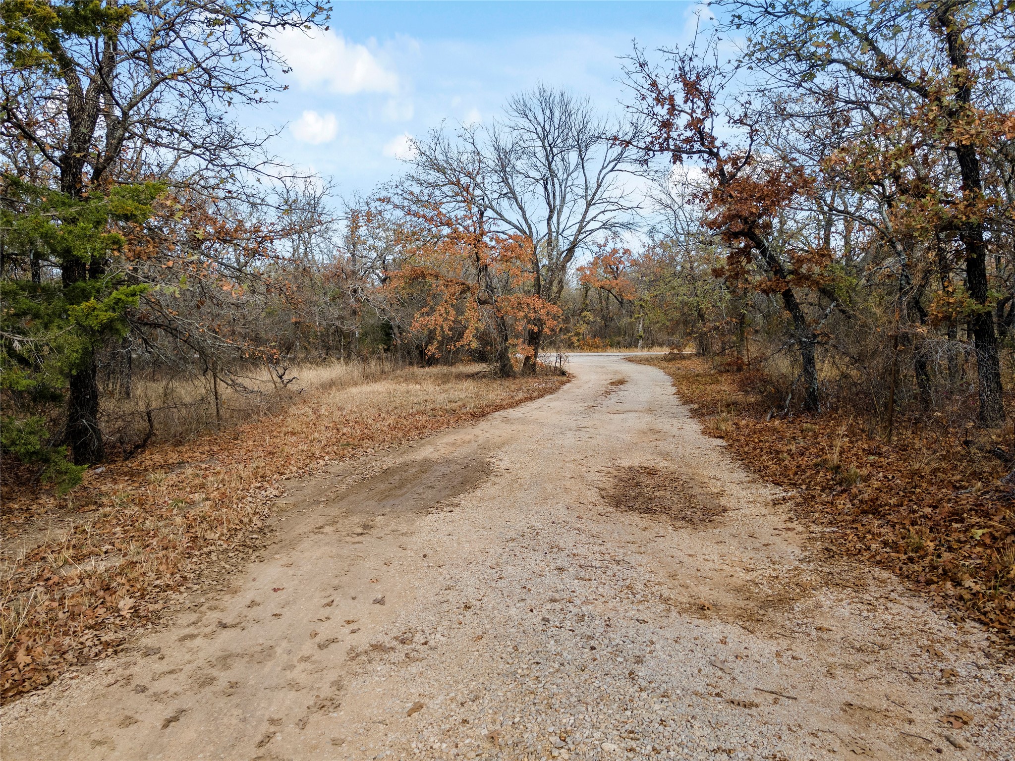 289 County Road 1661