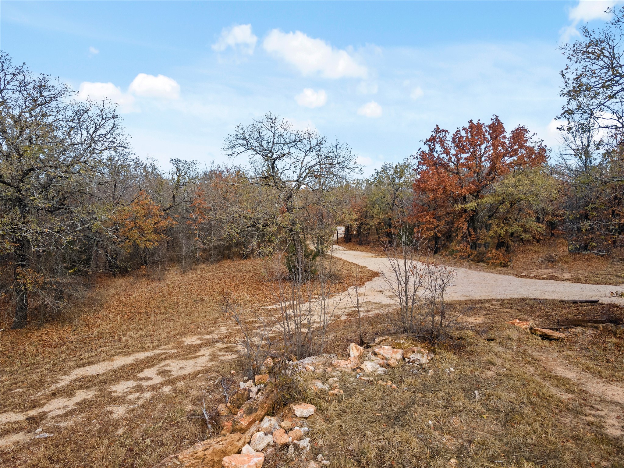 289 County Road 1661