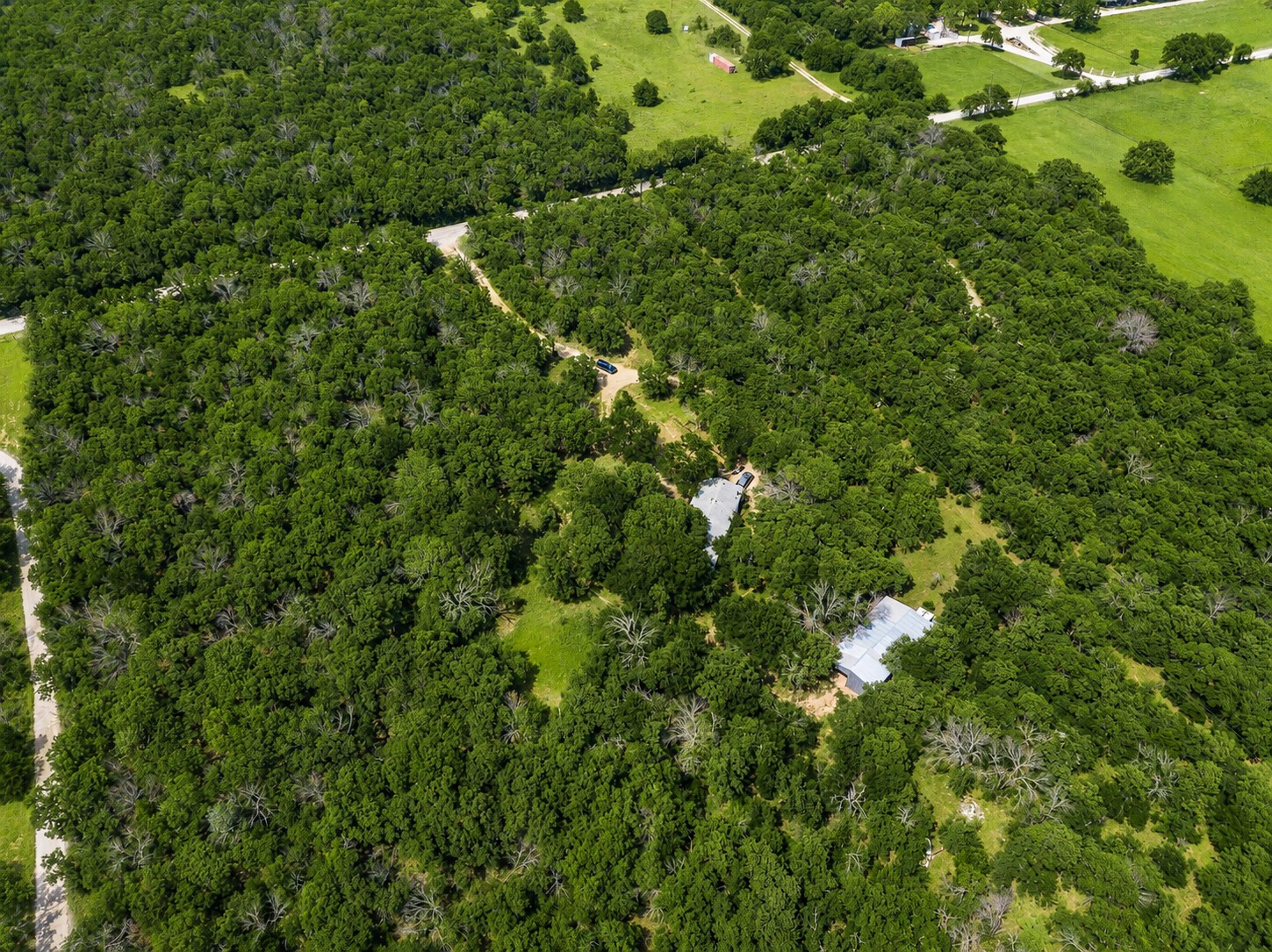 289 County Road 1661