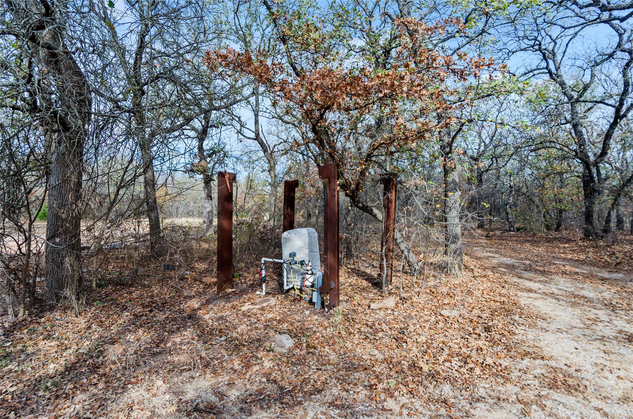 289 County Road 1661