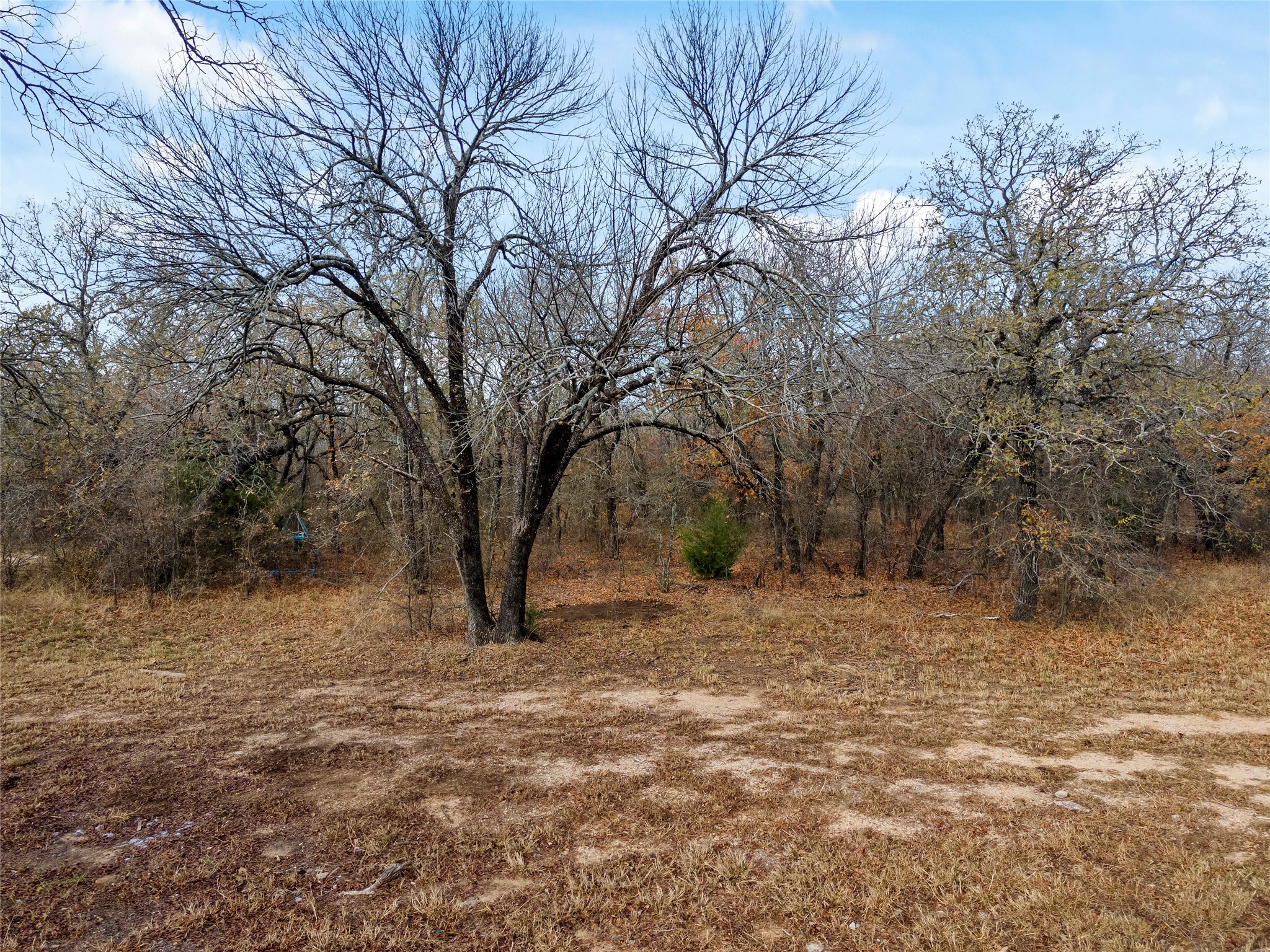 289 County Road 1661