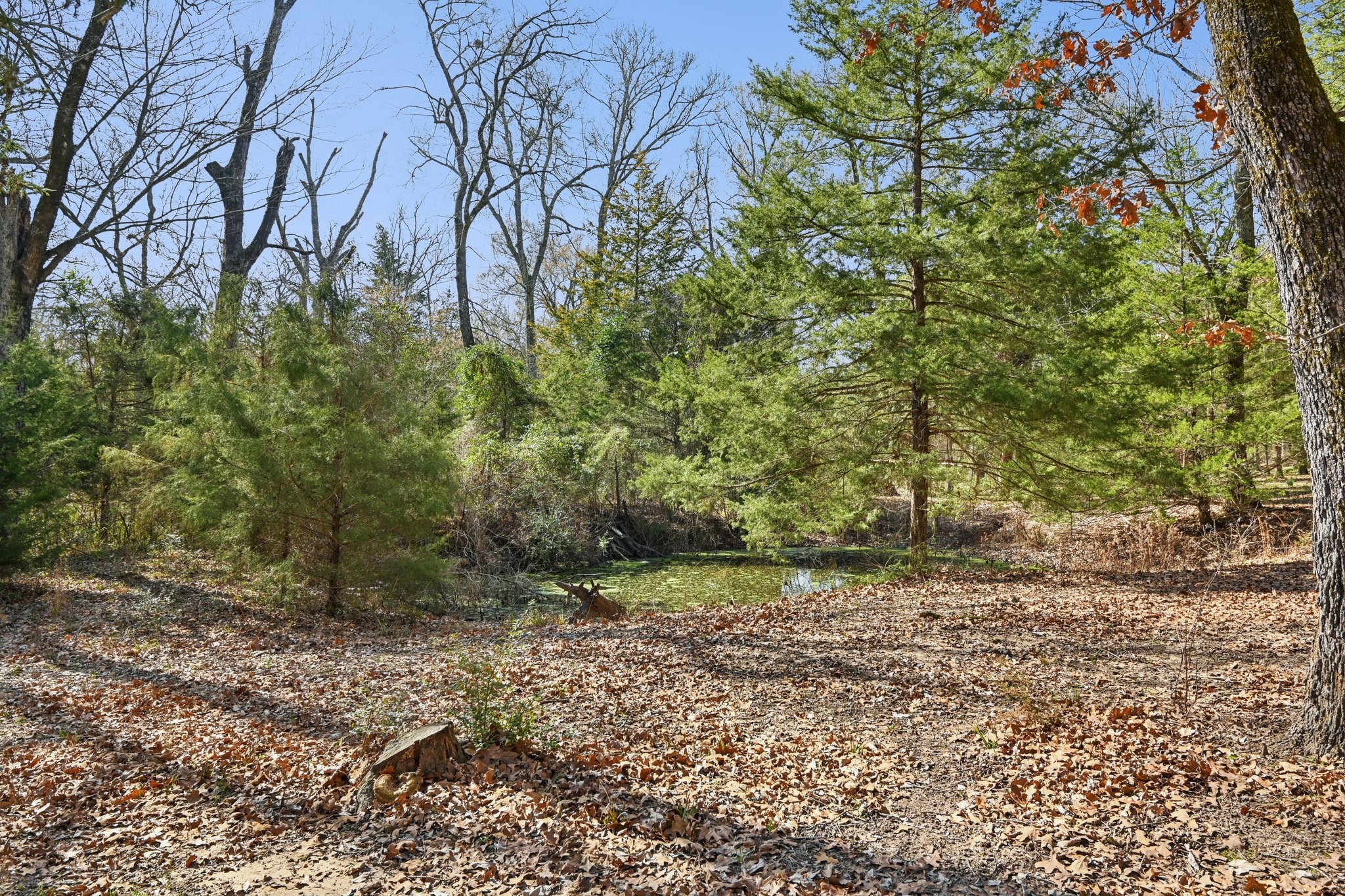 760 Rs County Road 3160