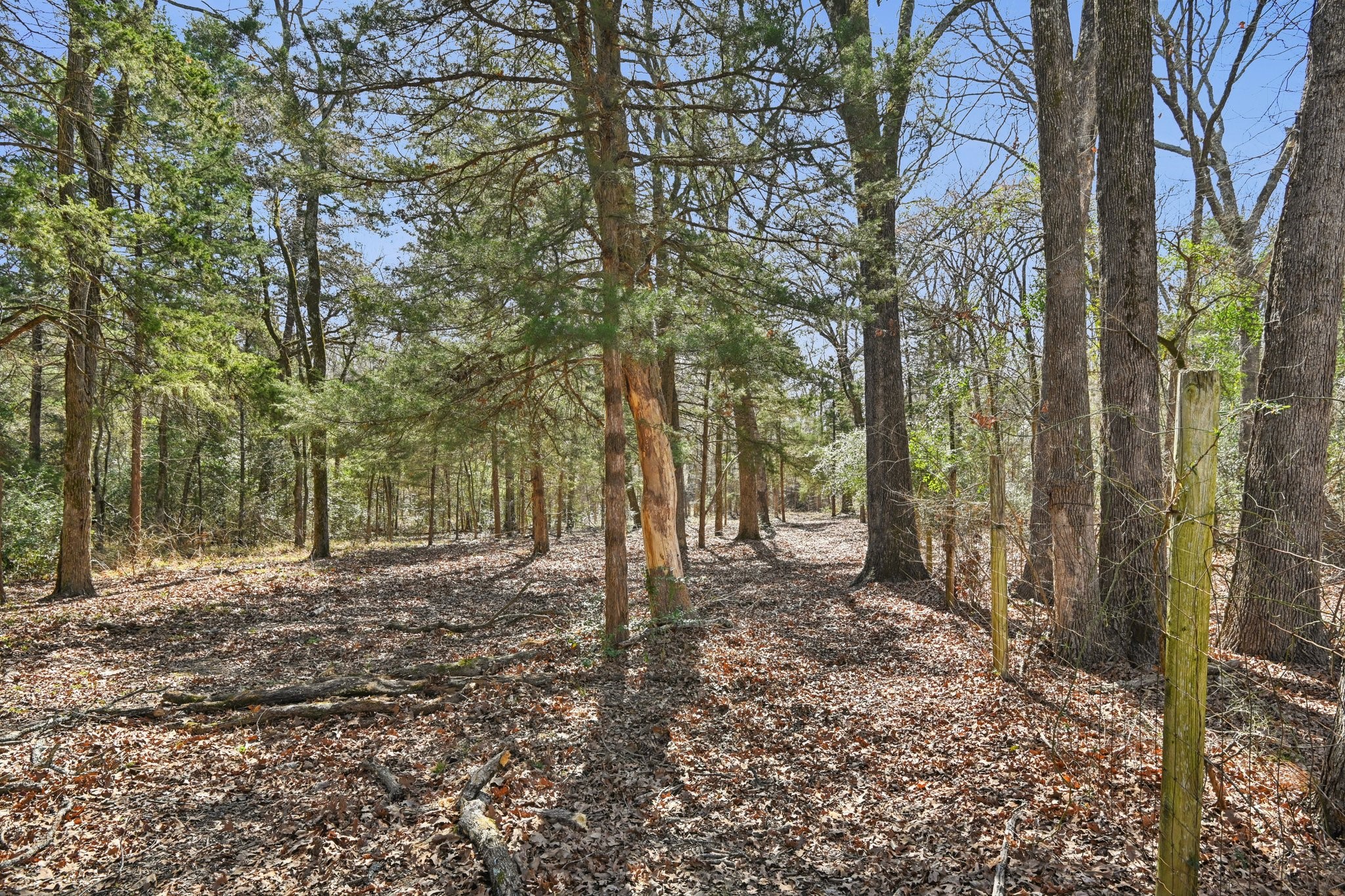 760 Rs County Road 3160