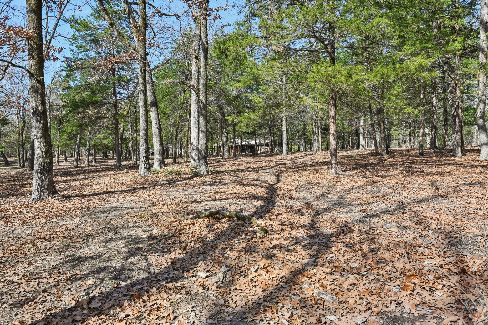 760 Rs County Road 3160