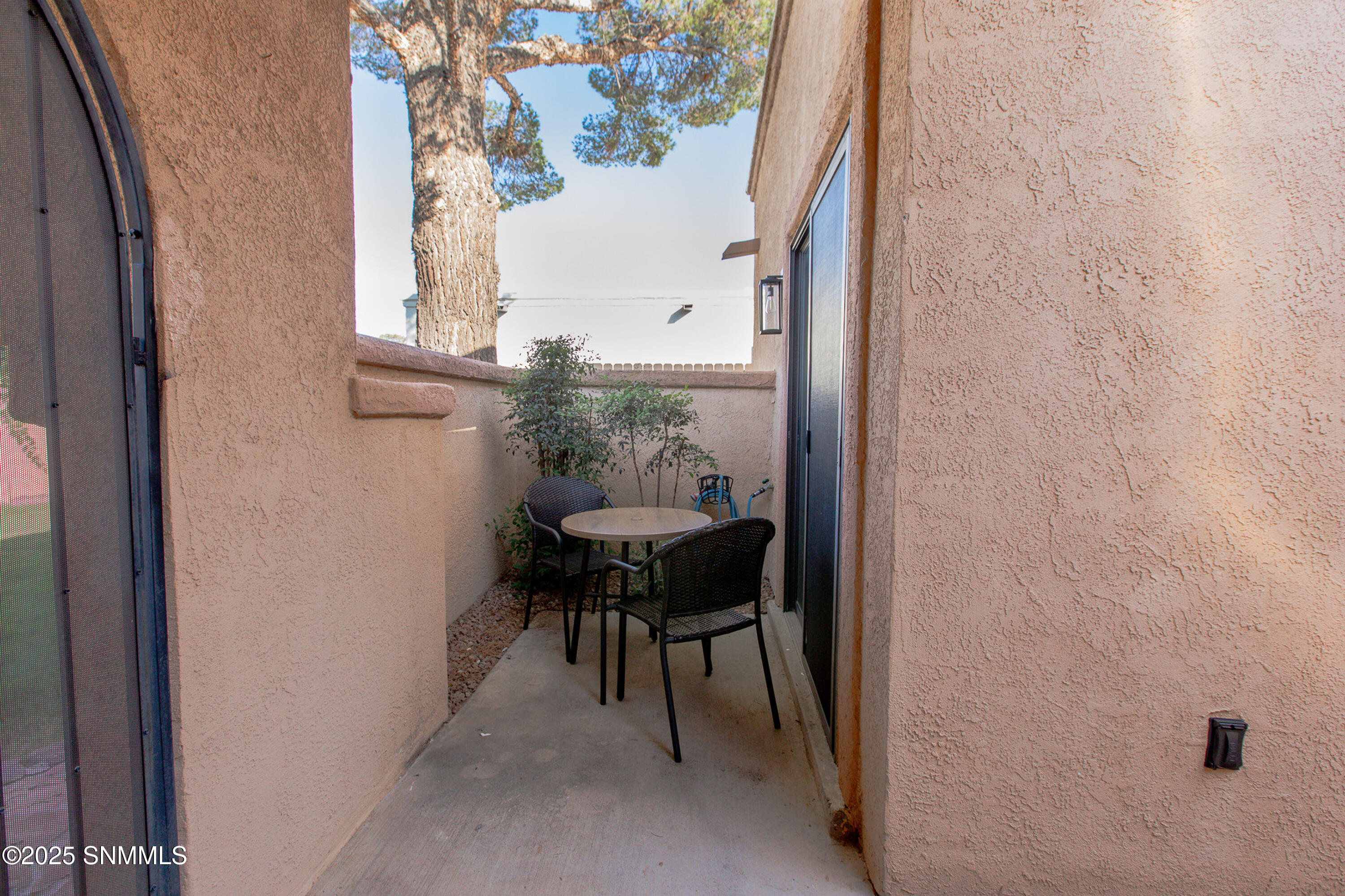 3541 Venus Street