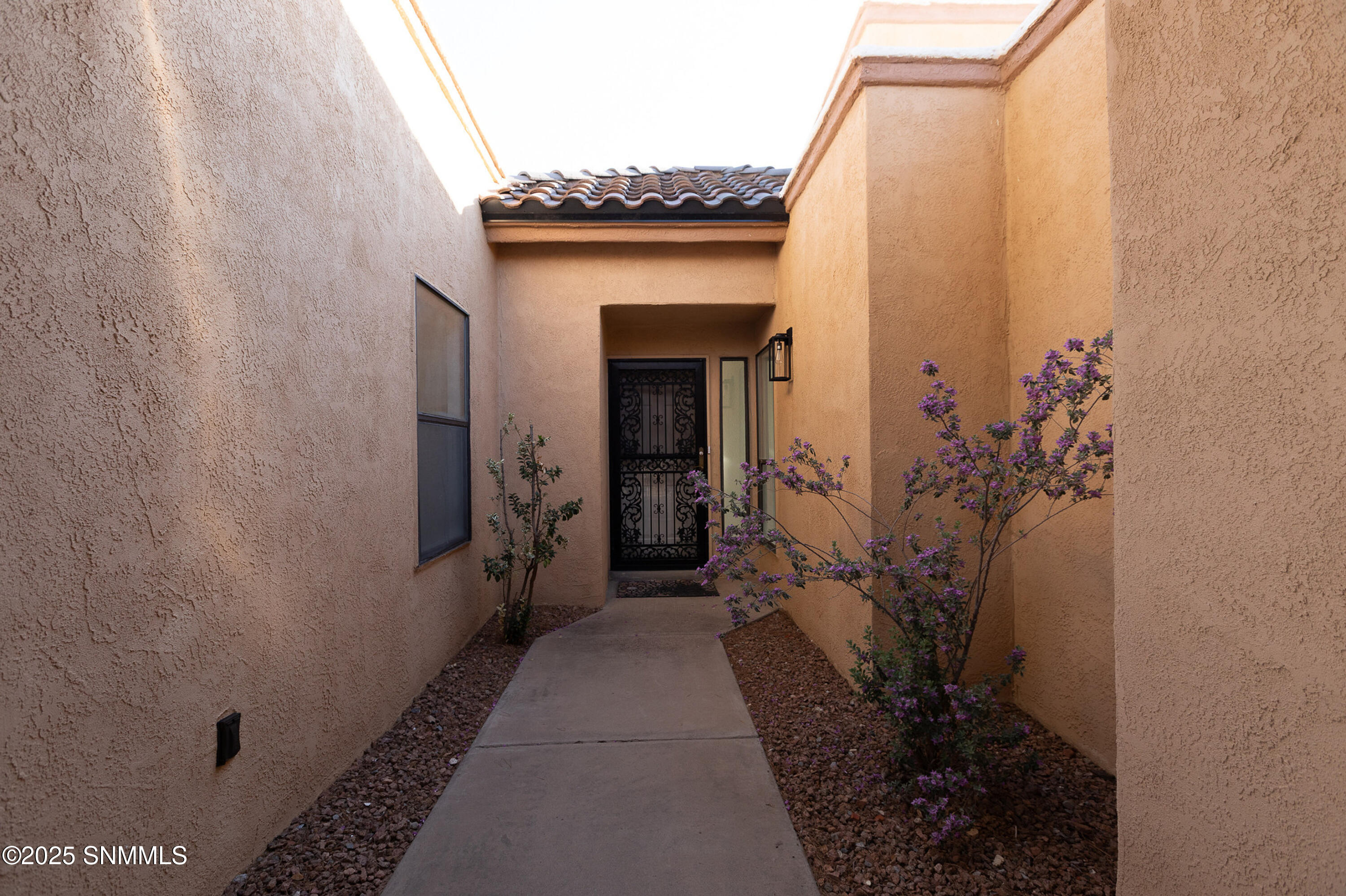 3541 Venus Street