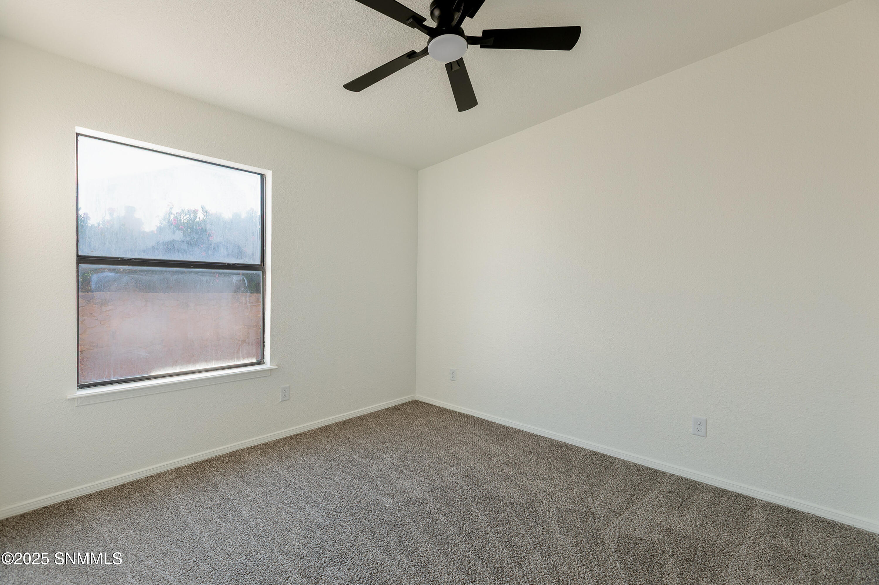 3541 Venus Street