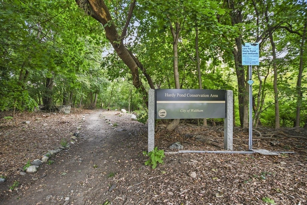 128 Hibiscus Avenue