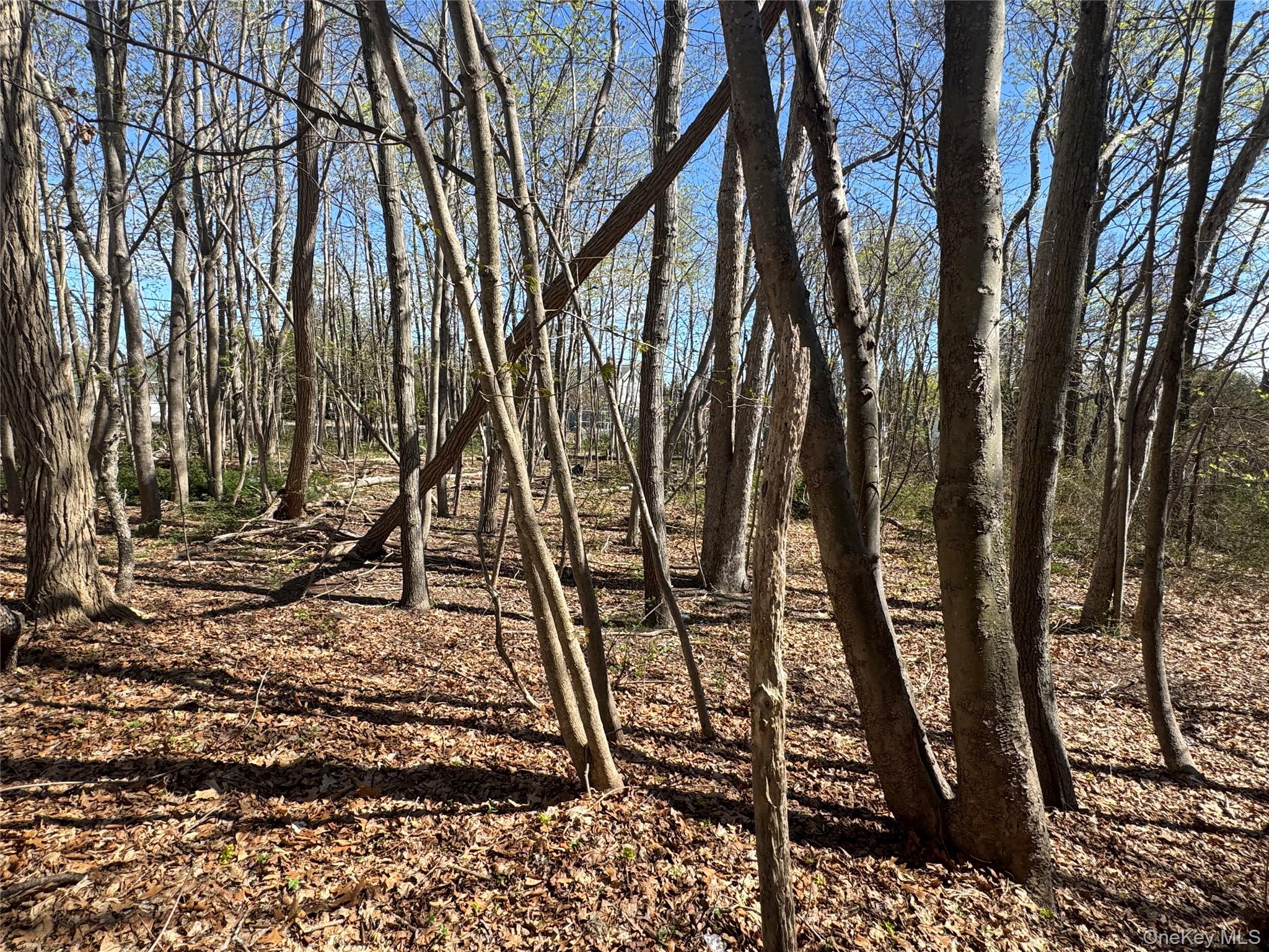 849-853 W Main Street