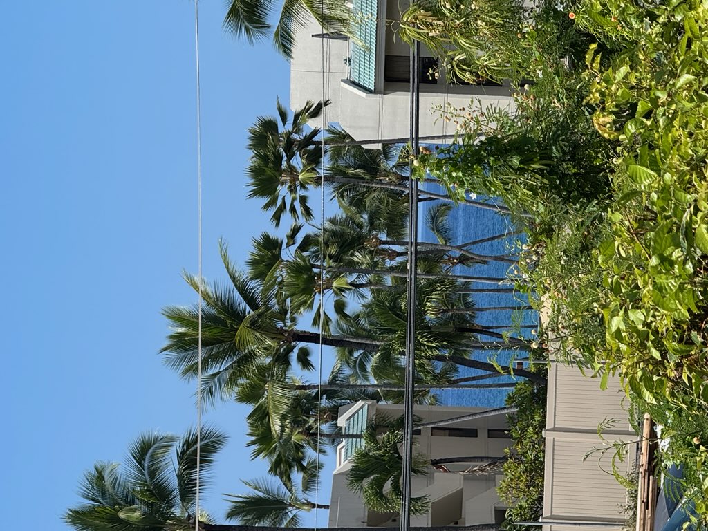 75-6081 ALII DR C204