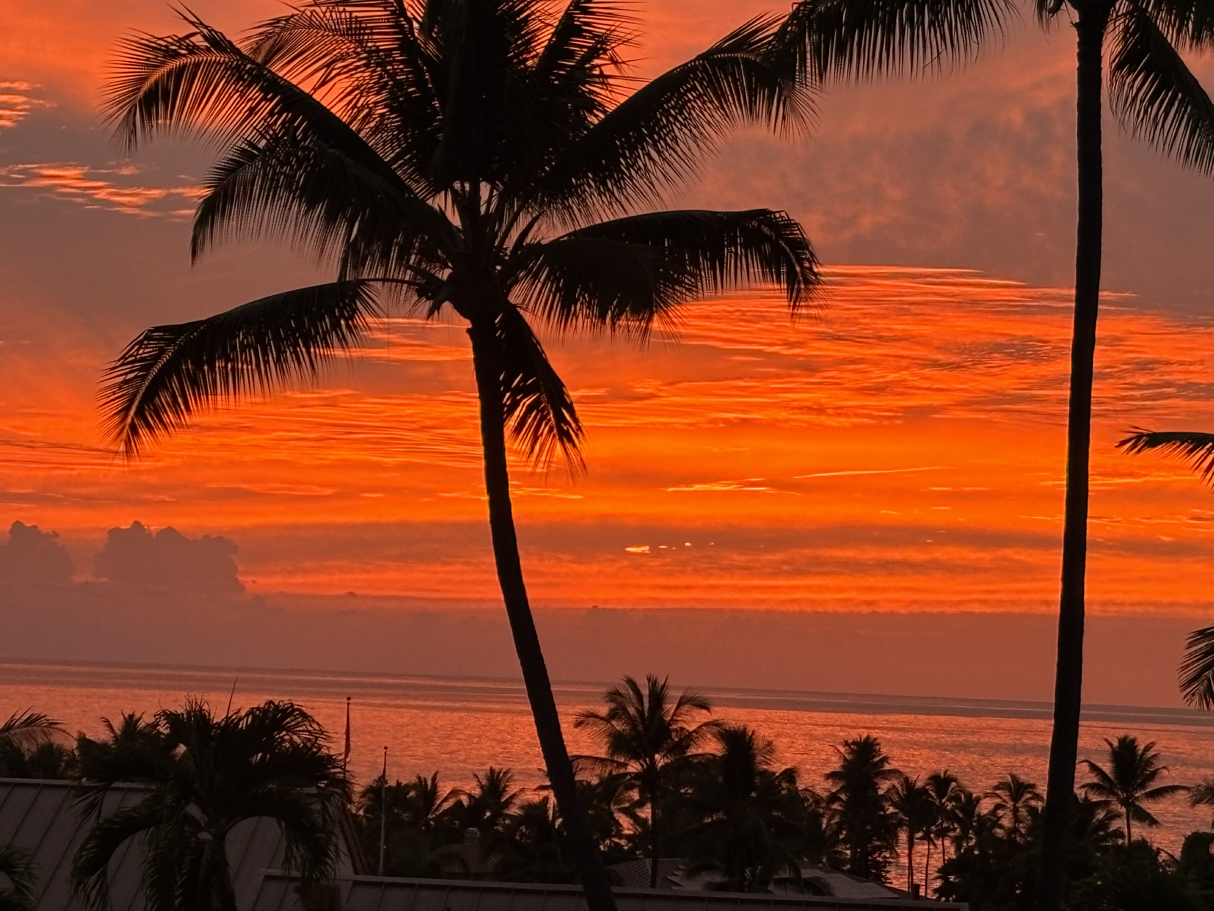 78-6842 ALII DR 1204