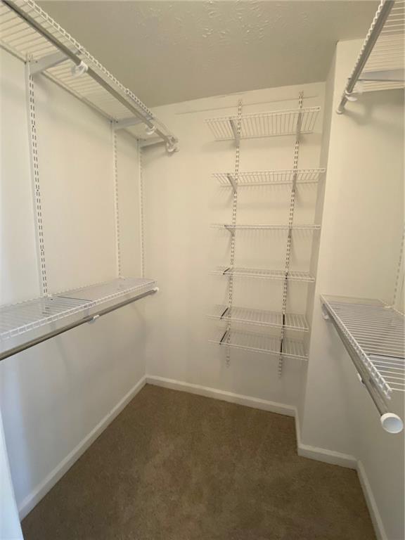 1125 Taylor Oaks Drive