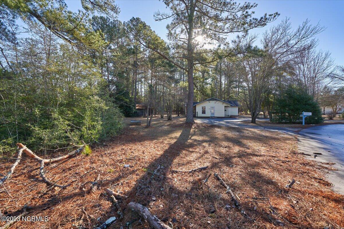 212 Snoozing Pine Lane