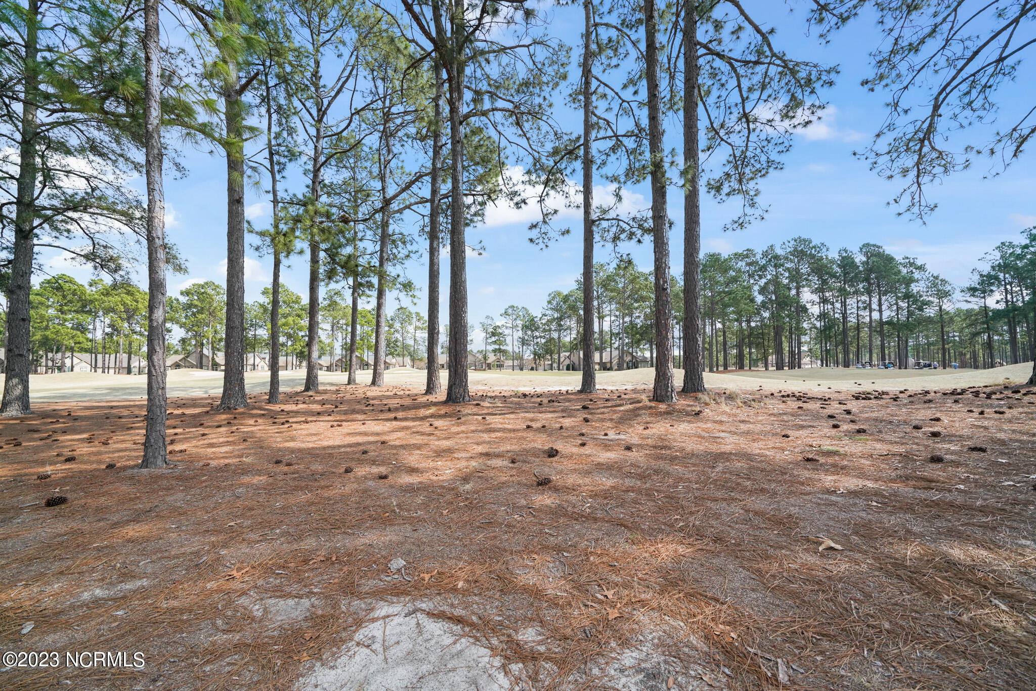 186 Holly Springs Court