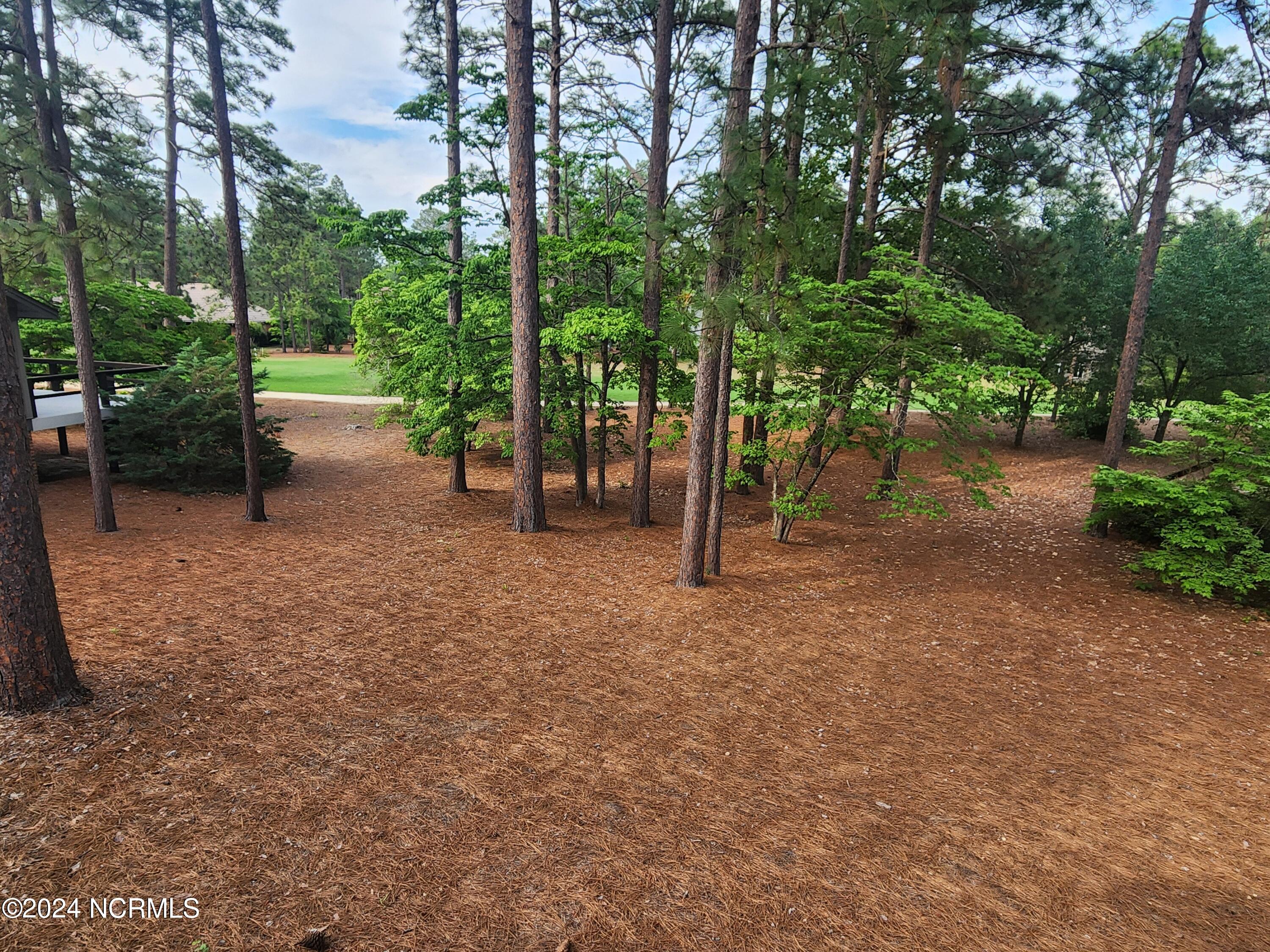 95 Brandon Trail