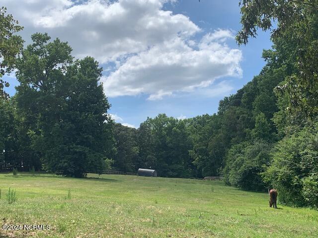 357 Old Dewberry Lane