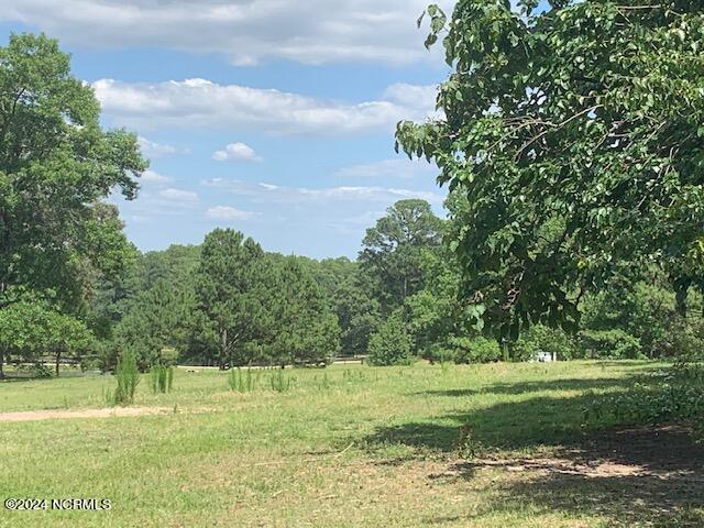 357 Old Dewberry Lane