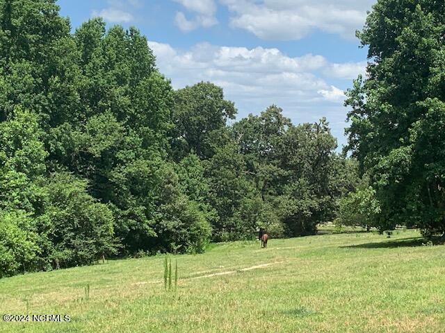 357 Old Dewberry Lane