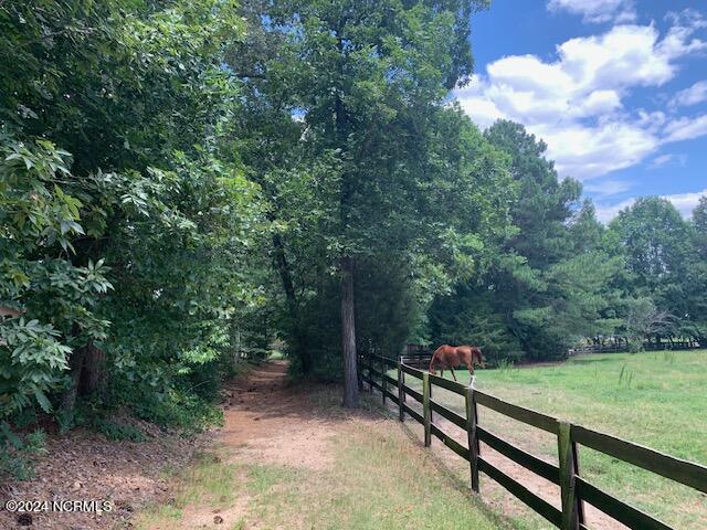 357 Old Dewberry Lane