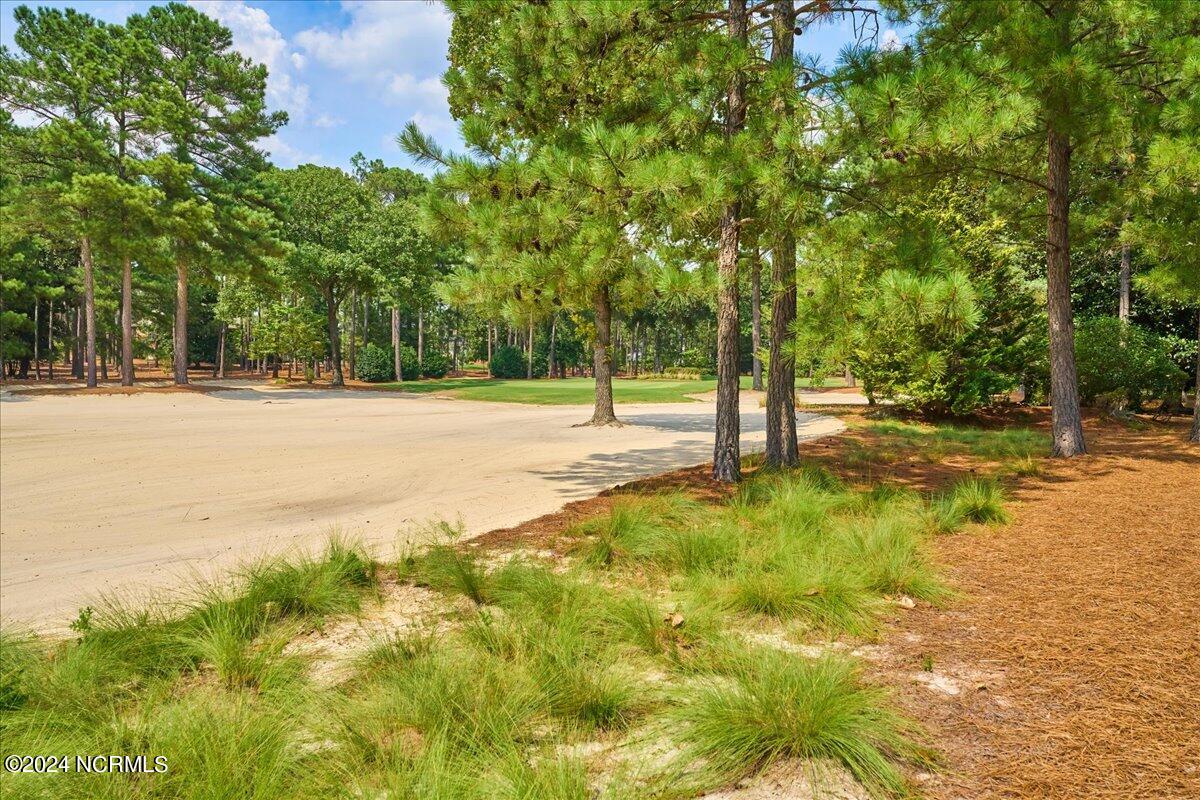 26 Ashkirk Drive