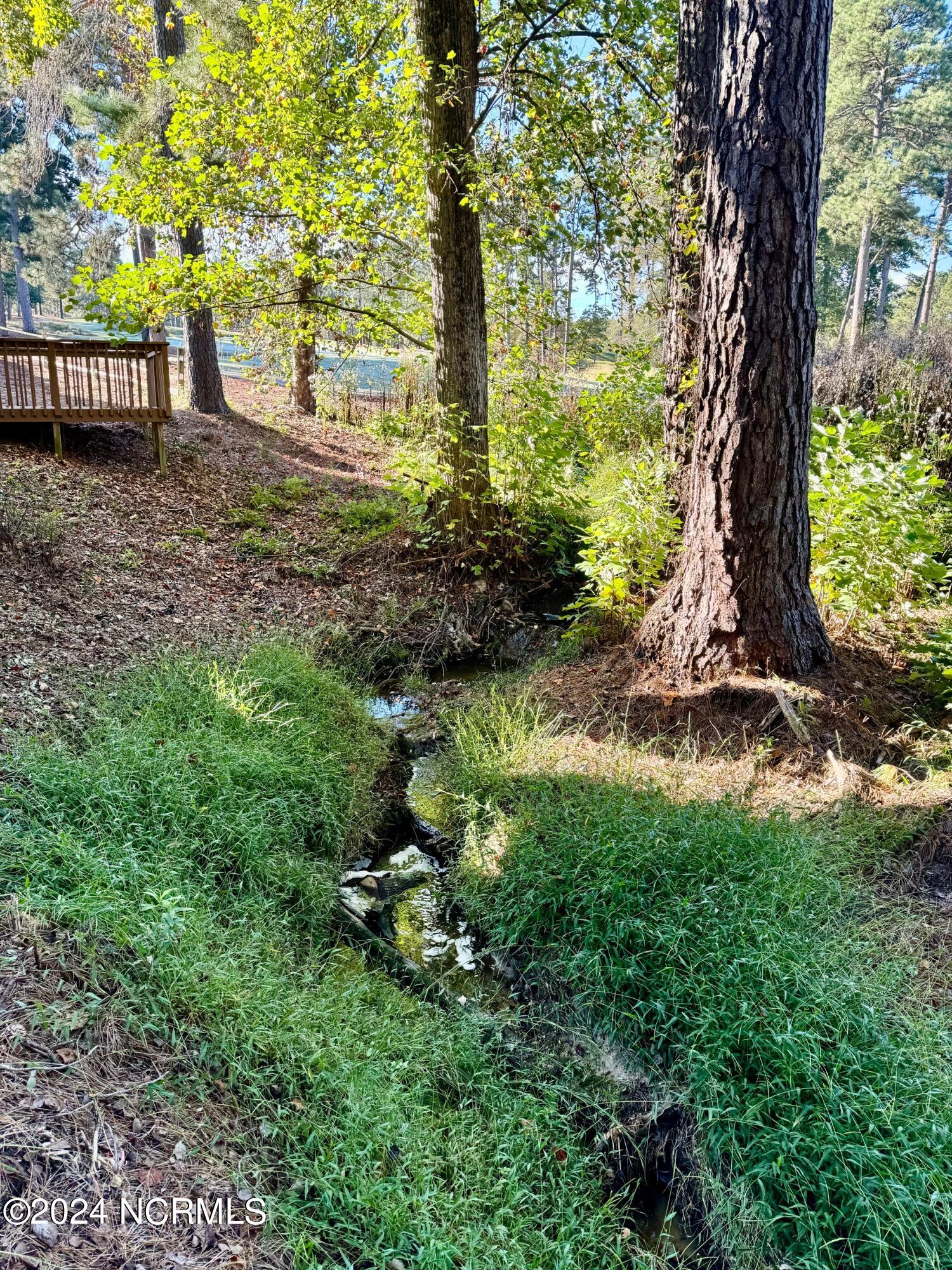 1313 Sandmoore Drive