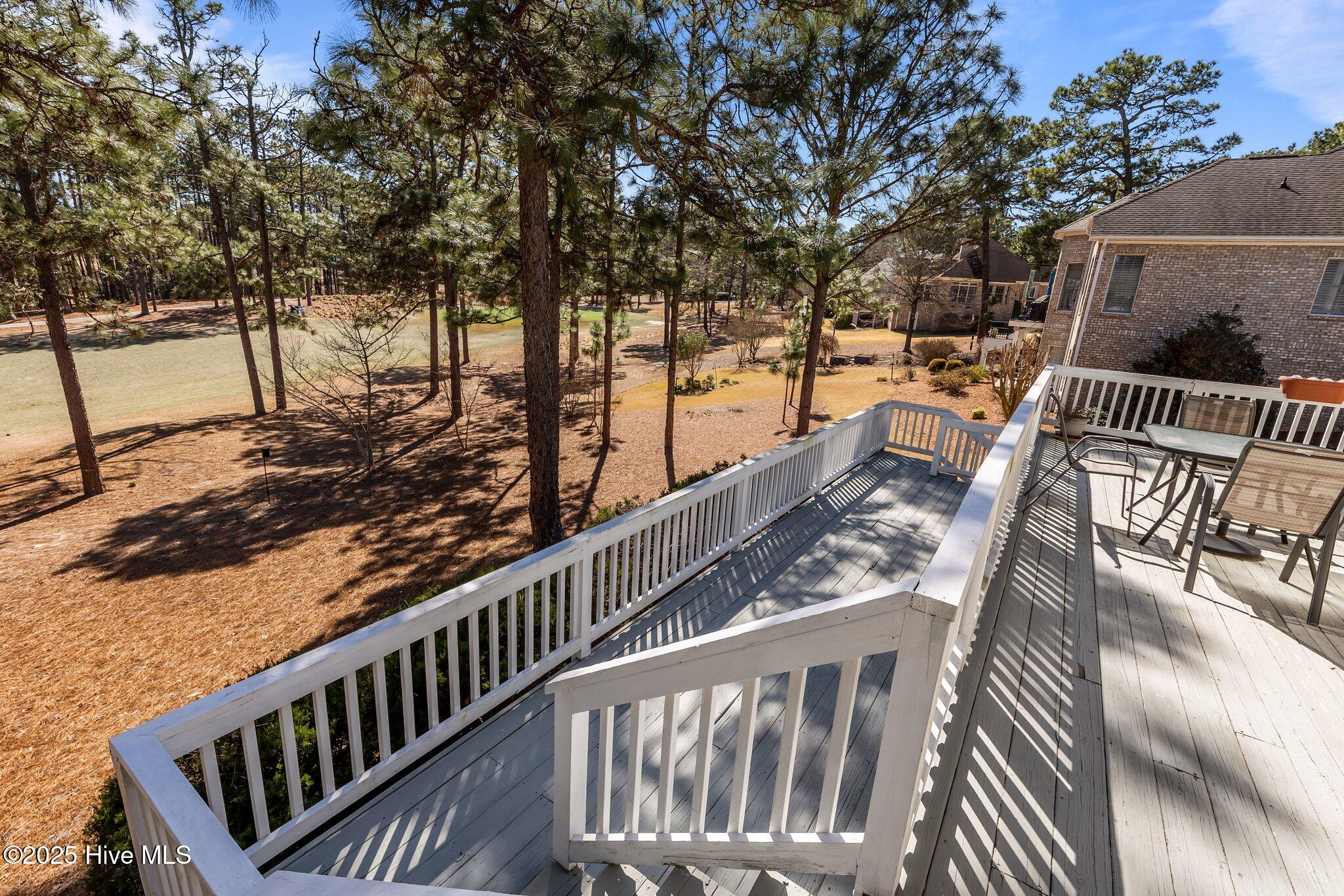 124 Steeplechase Way