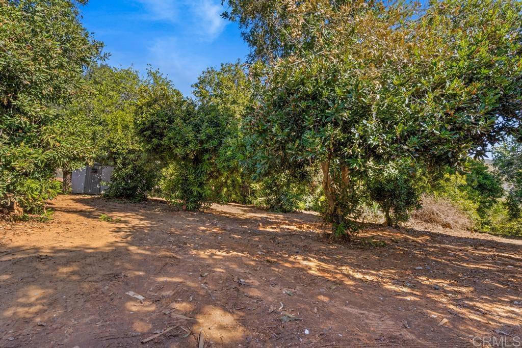 1654 Tierra Libertia