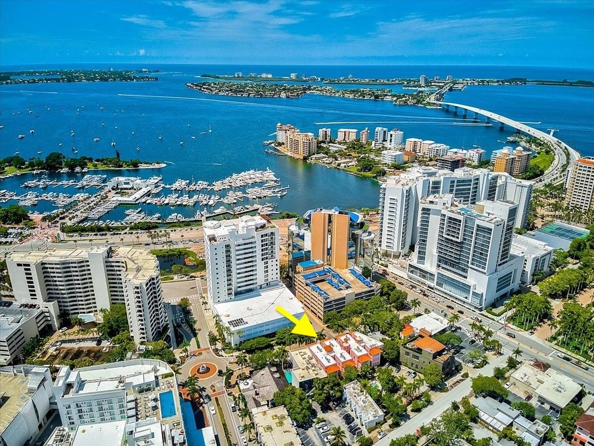 1221 N PALM AVE #204