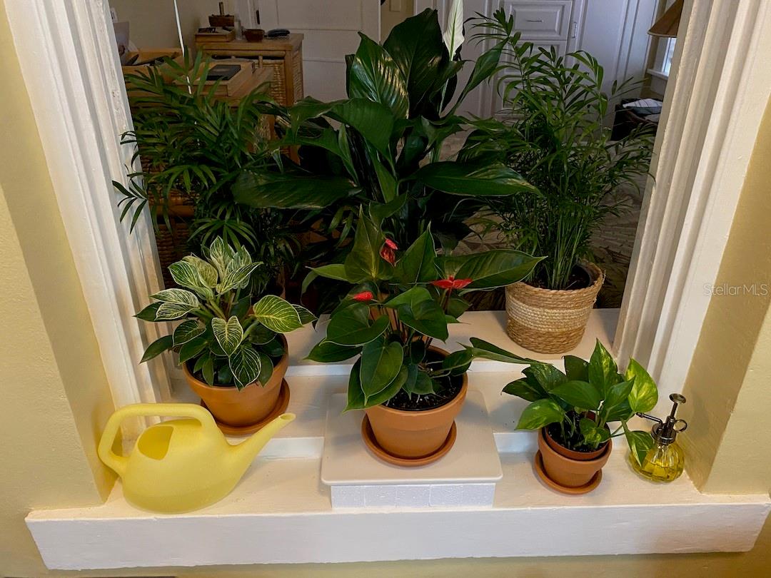 1221 N PALM AVE #204