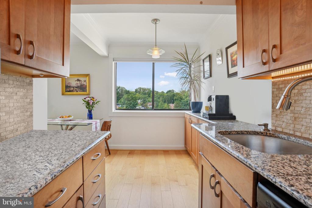 3701 CONNECTICUT AVENUE NW 909