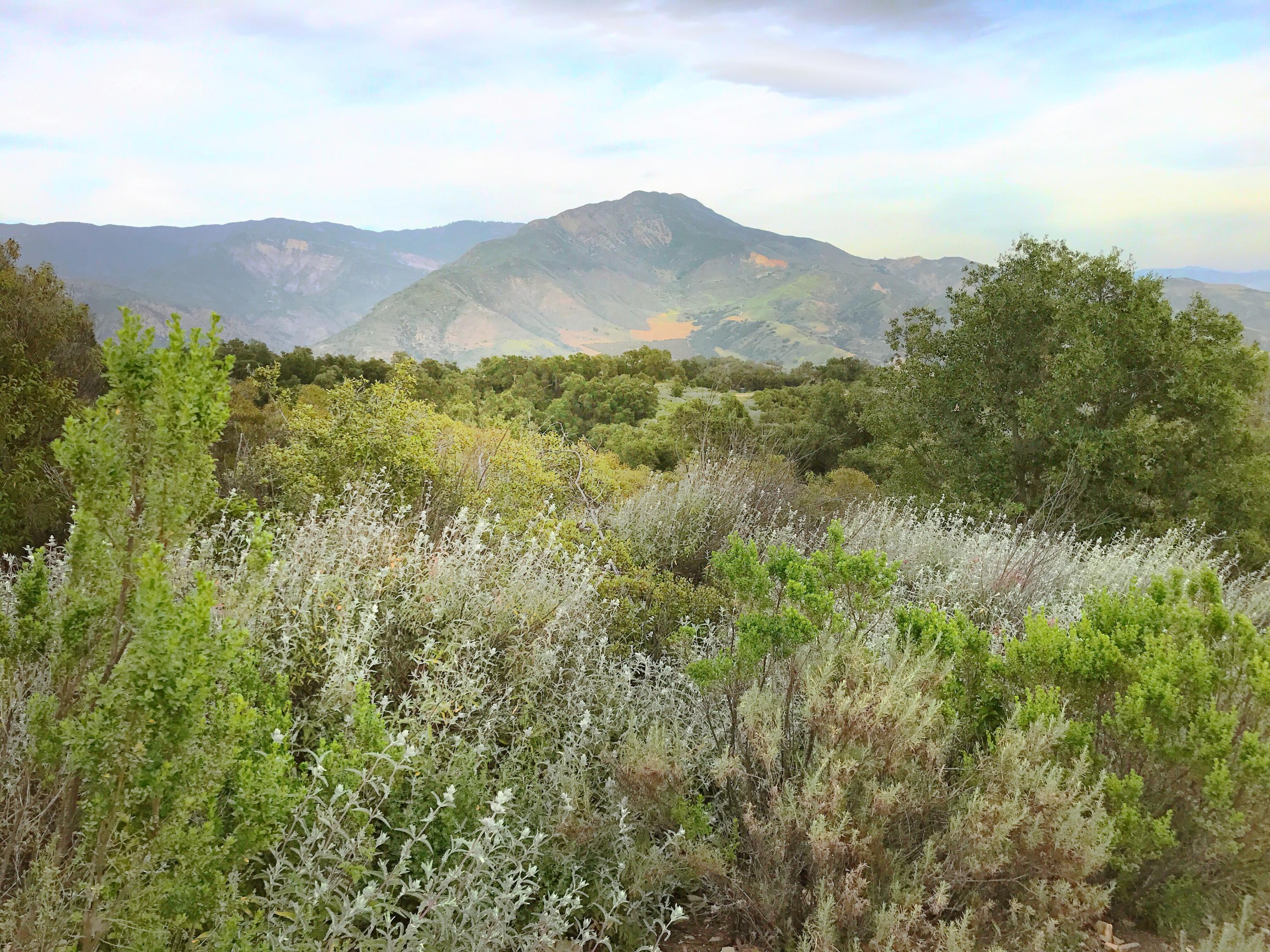 13500 E Sulphur Mountain Road