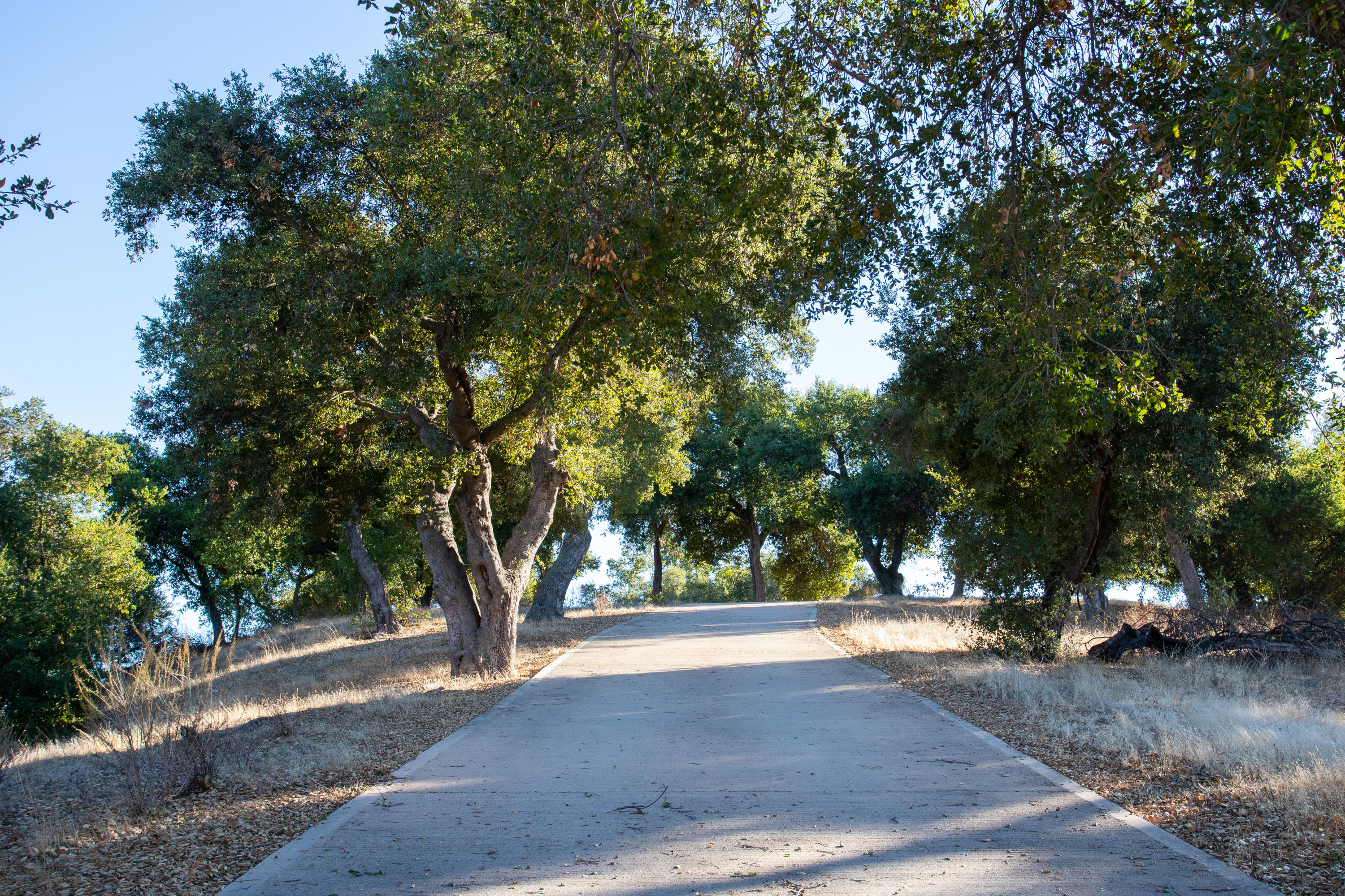 13500 E Sulphur Mountain Road