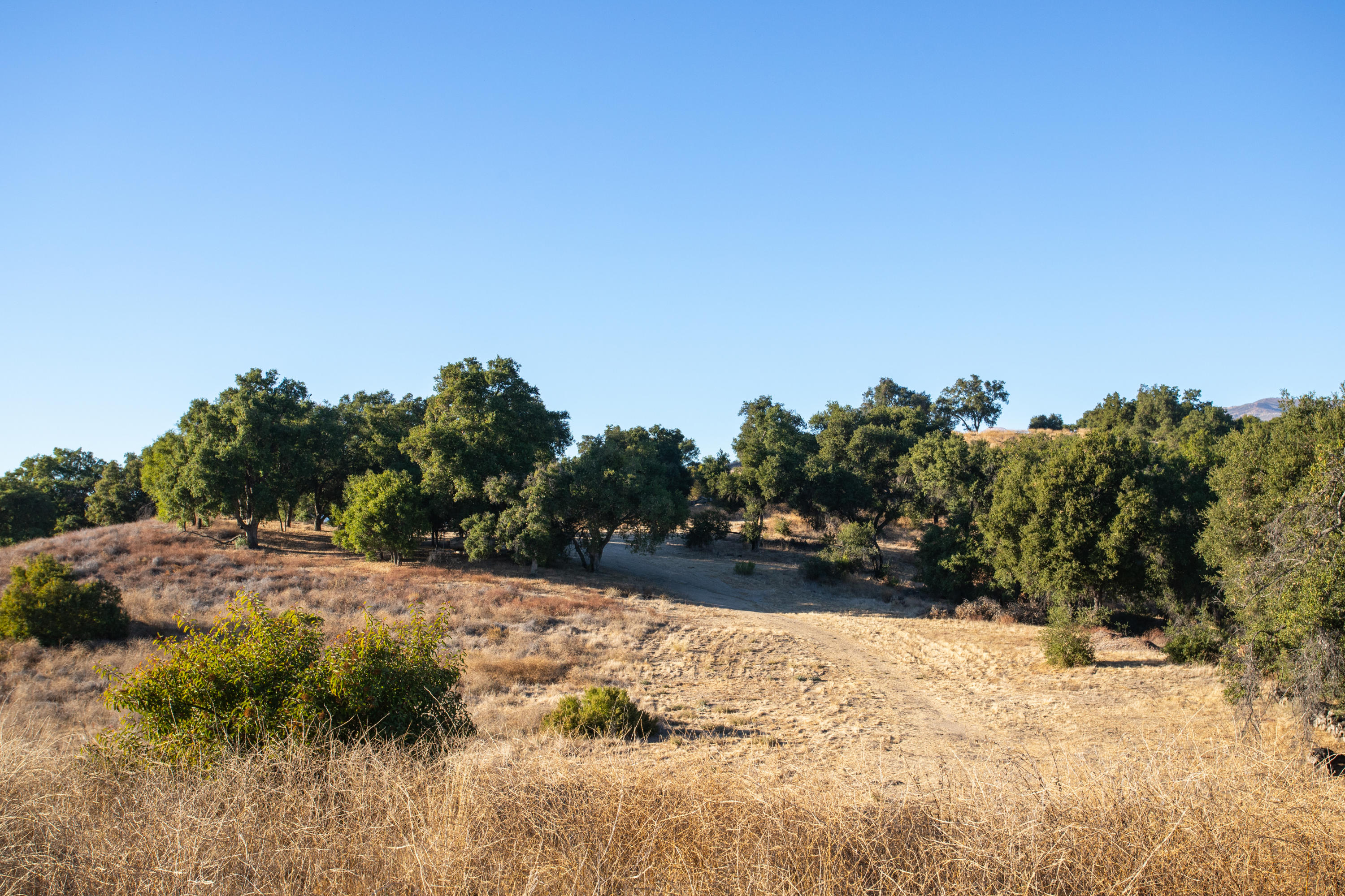 13500 E Sulphur Mountain Road