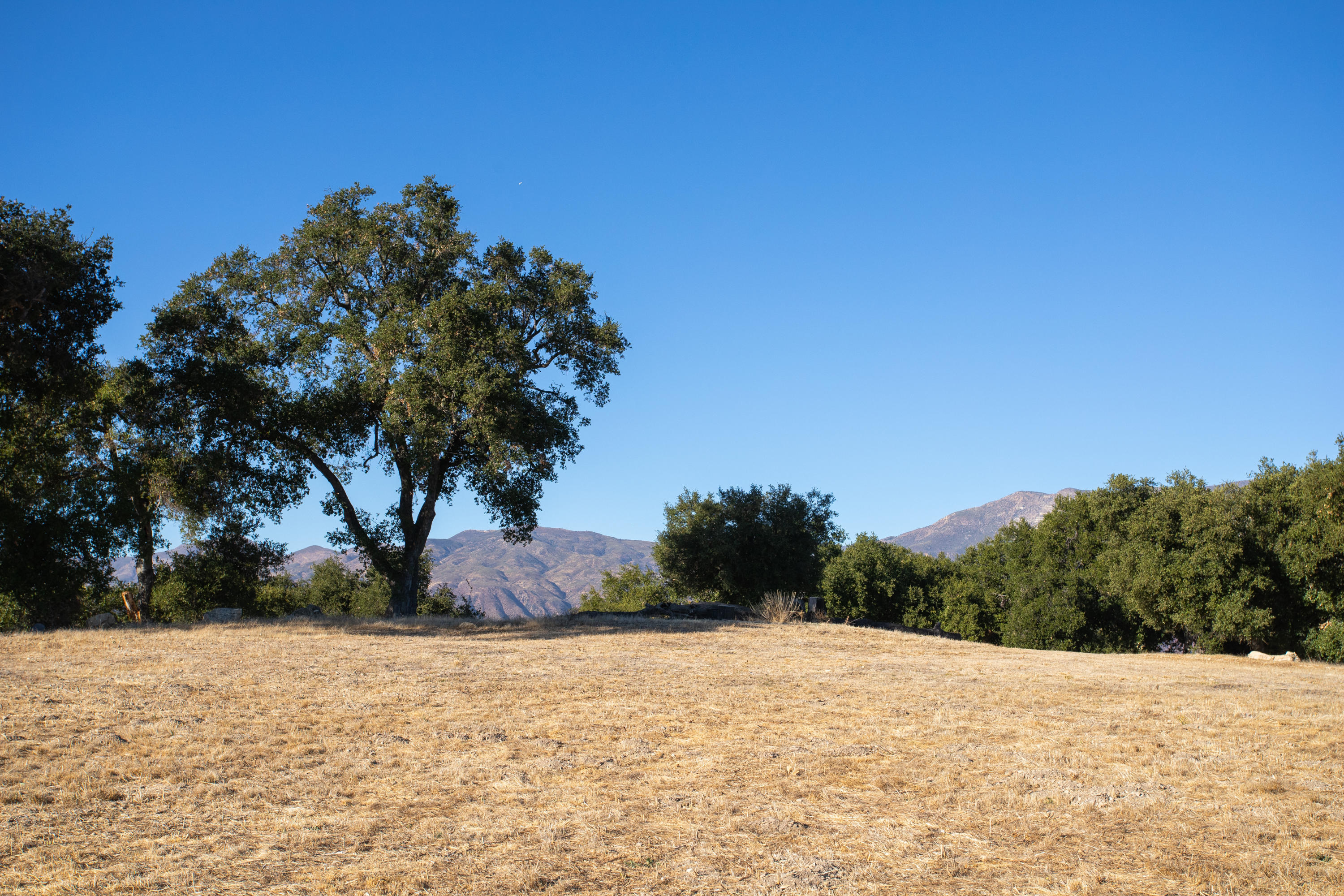 13500 E Sulphur Mountain Road