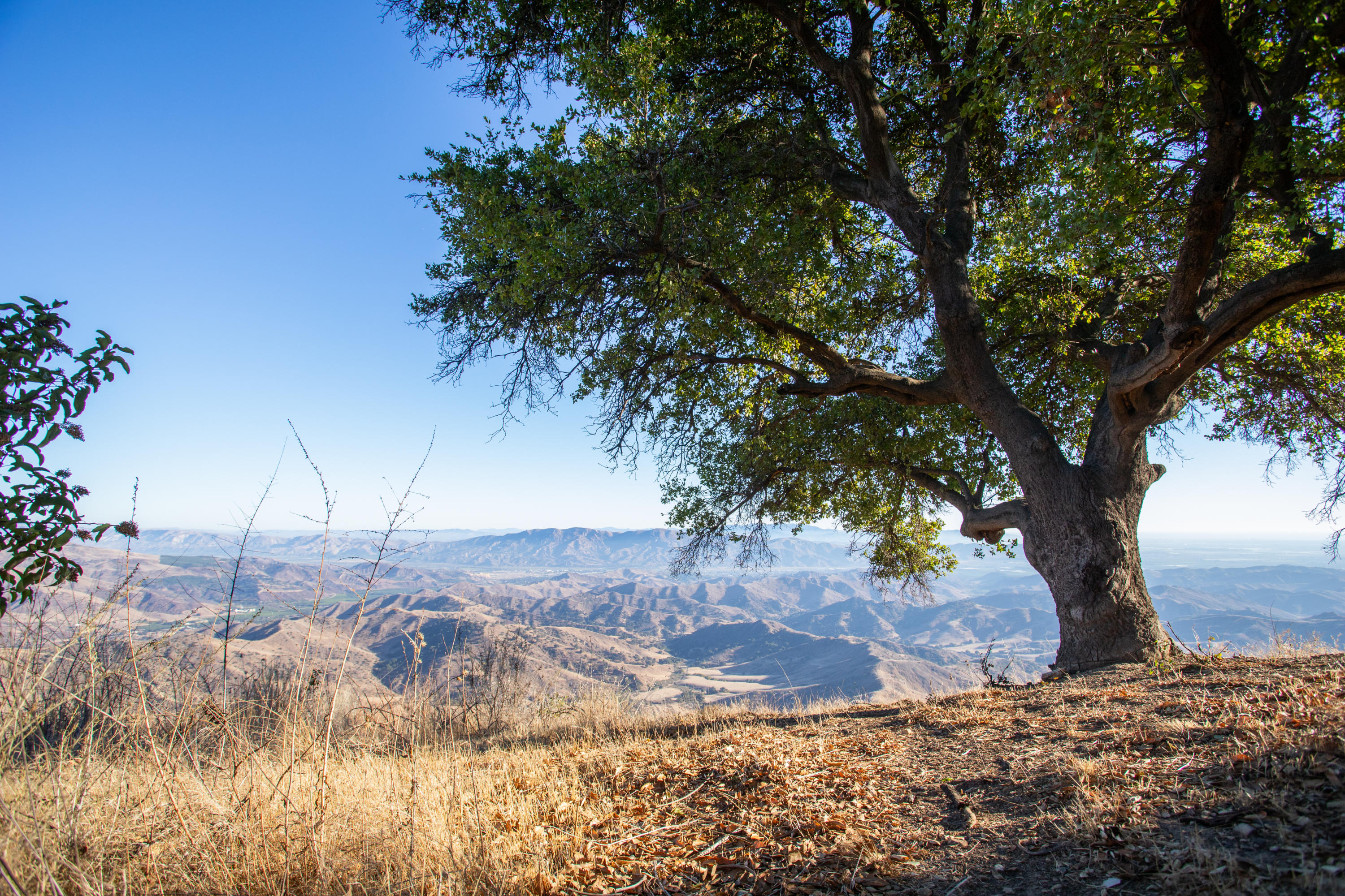 13500 E Sulphur Mountain Road