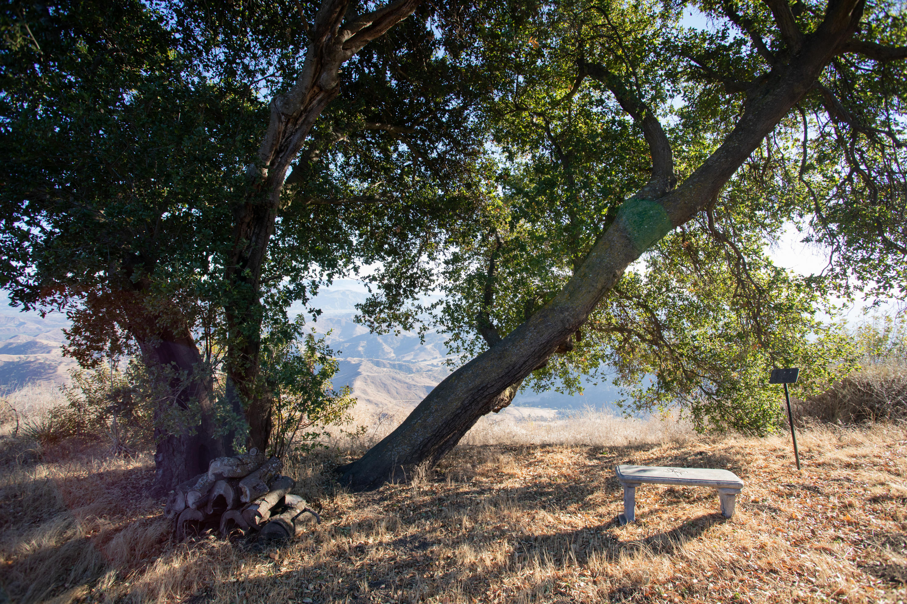 13500 E Sulphur Mountain Road