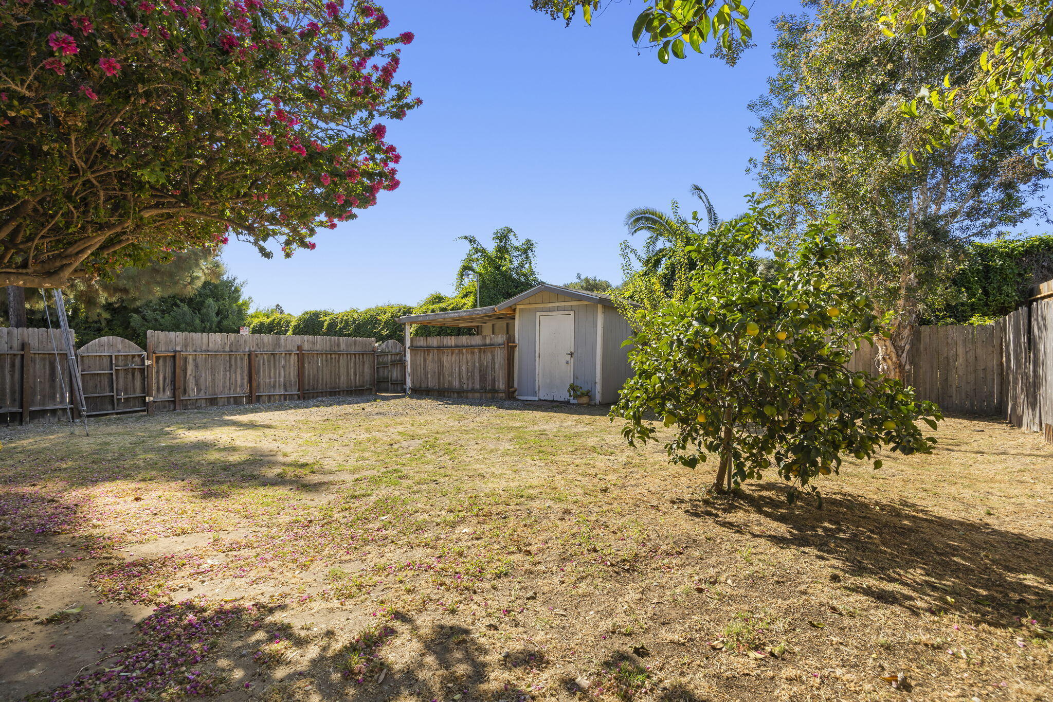 430 W Valerio Street
