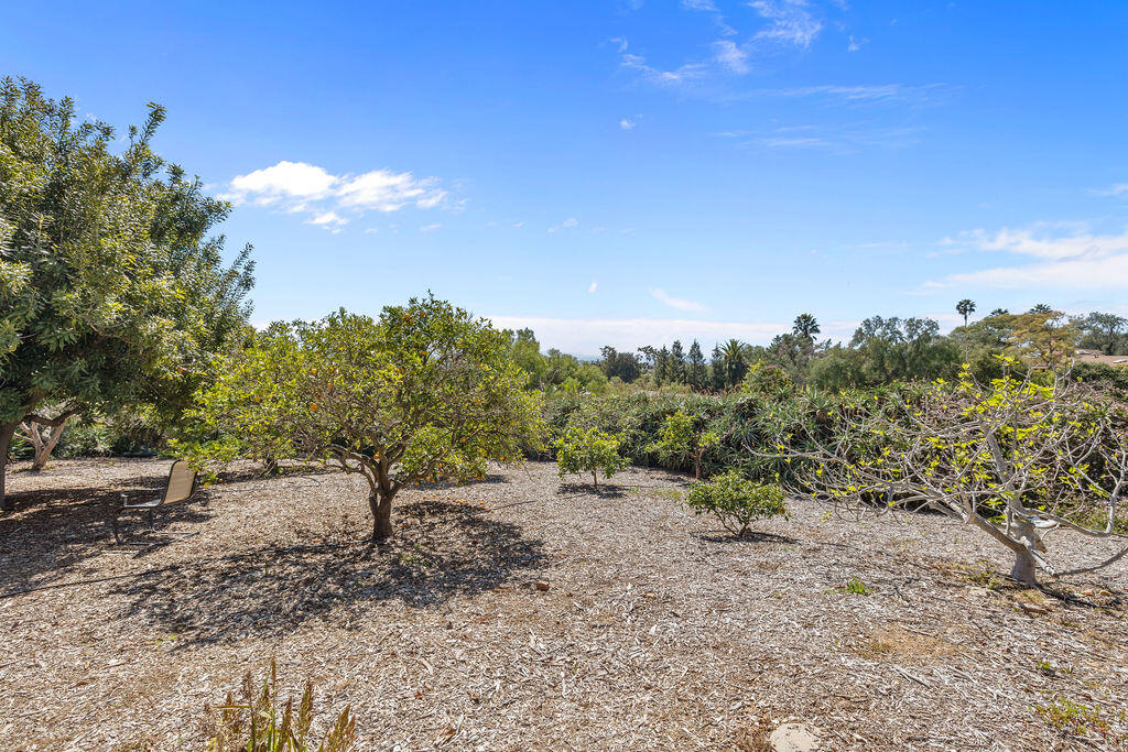 4400 Meadowlark Lane