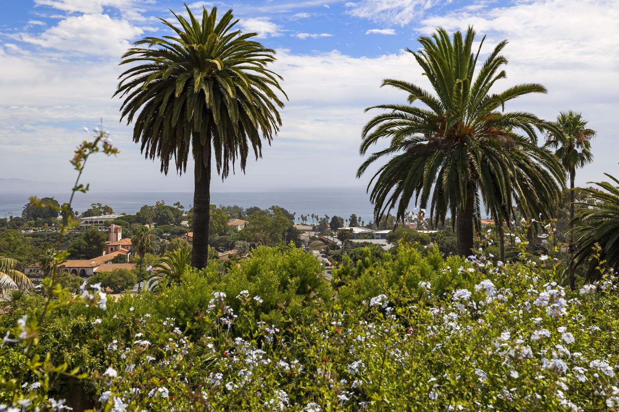 550 Miramonte Drive