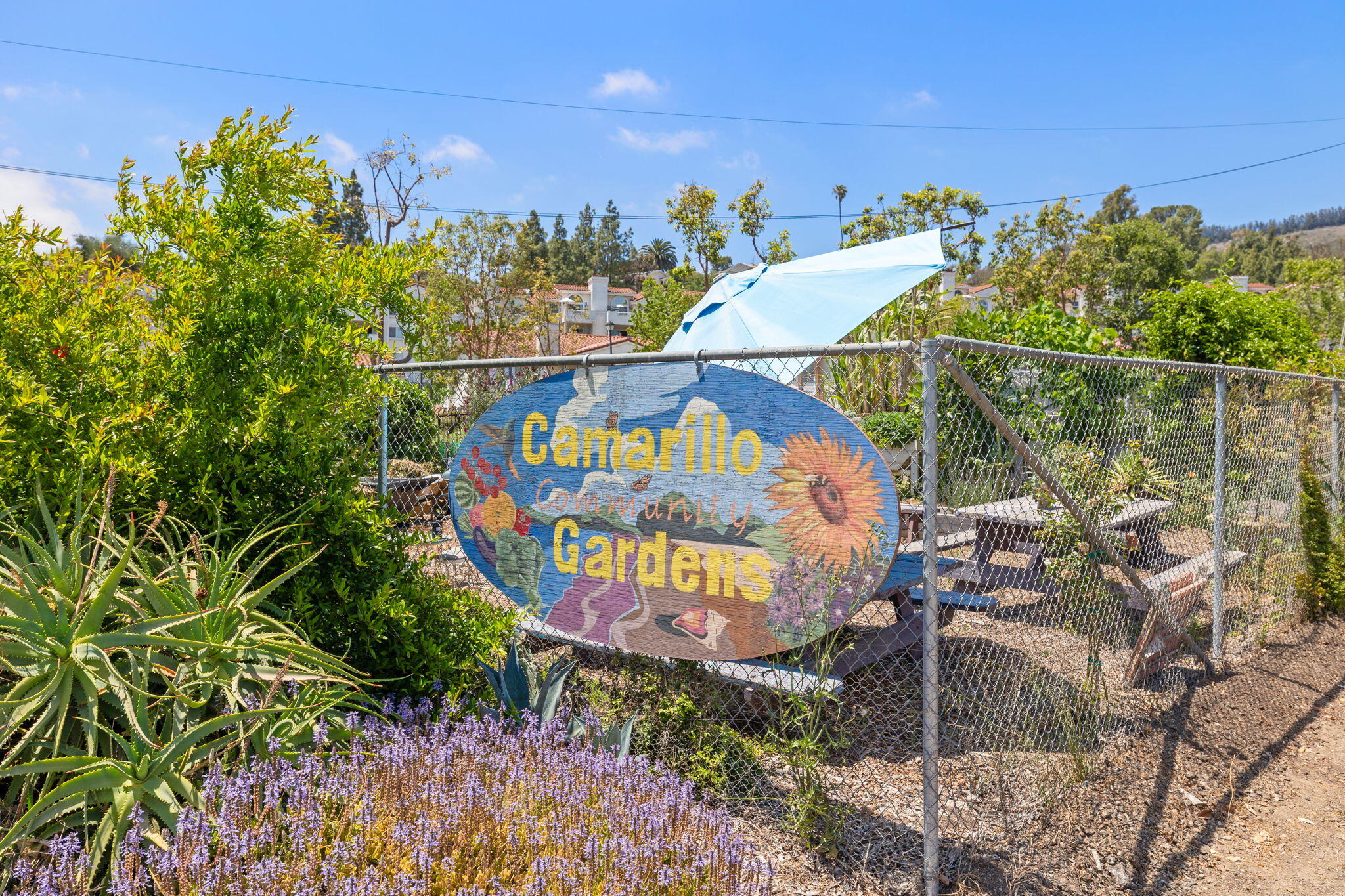 2623 Antonio Drive, 104