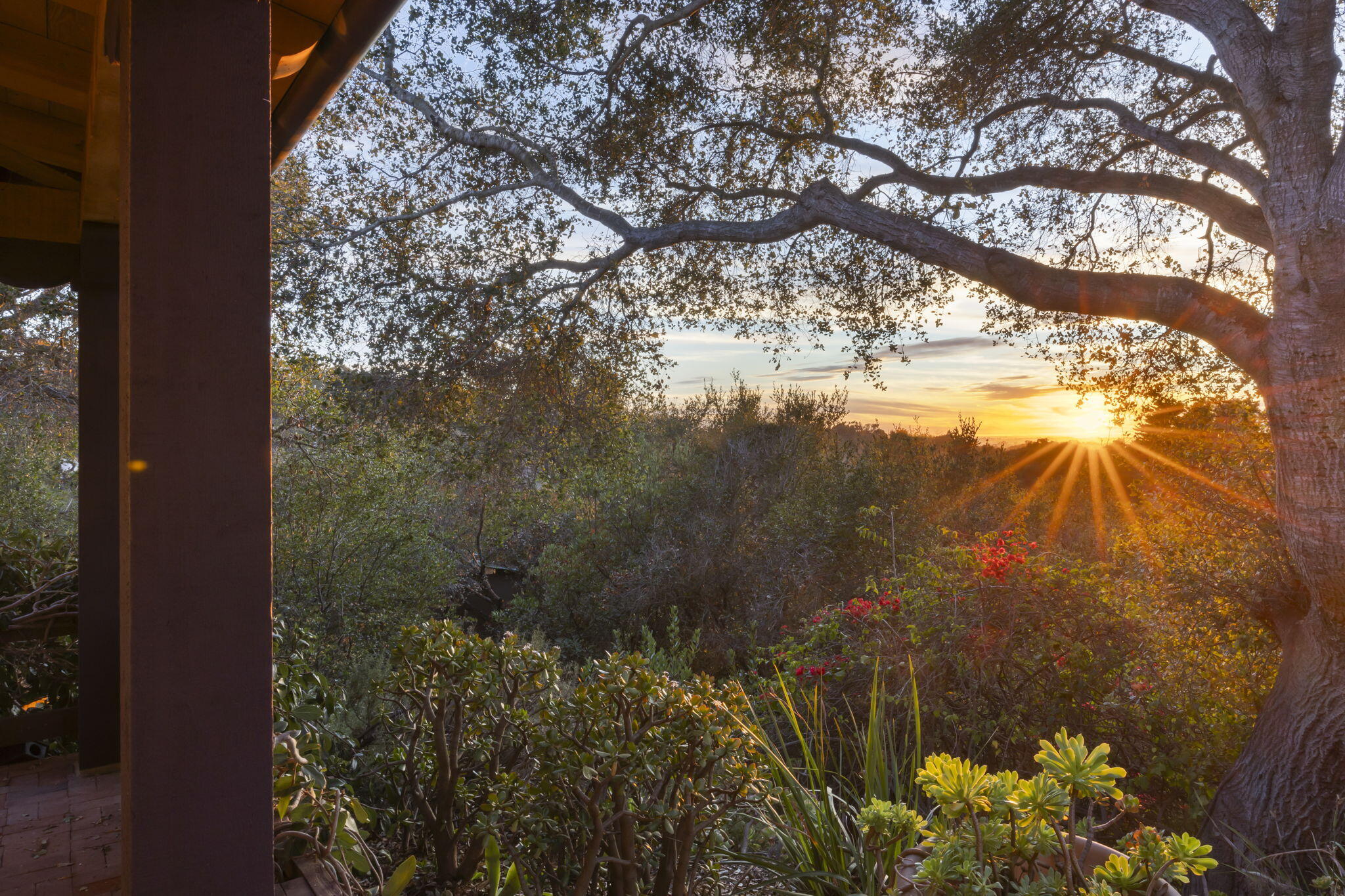 4597 Camino Molinero