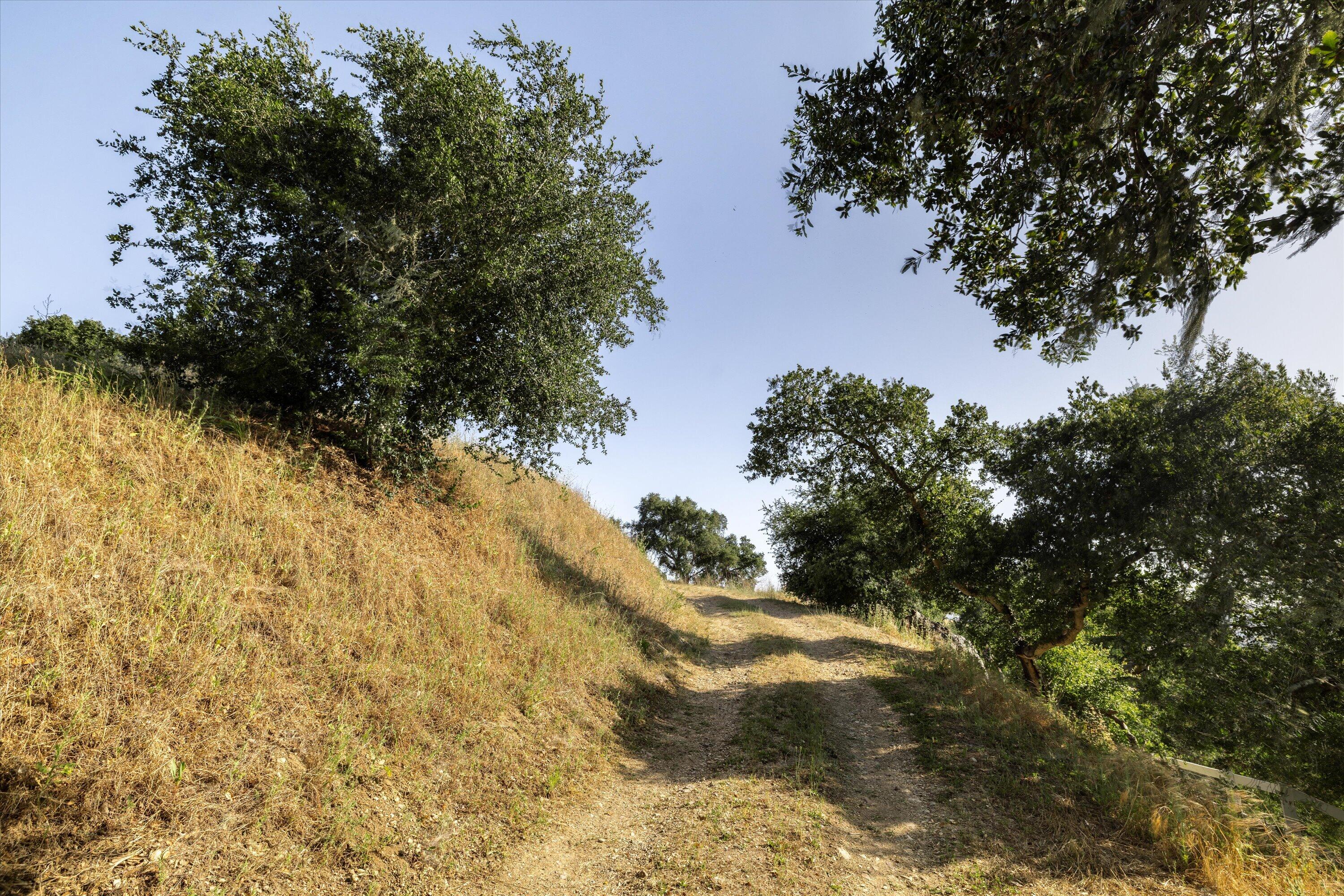 1228 Alamo Pintado Road