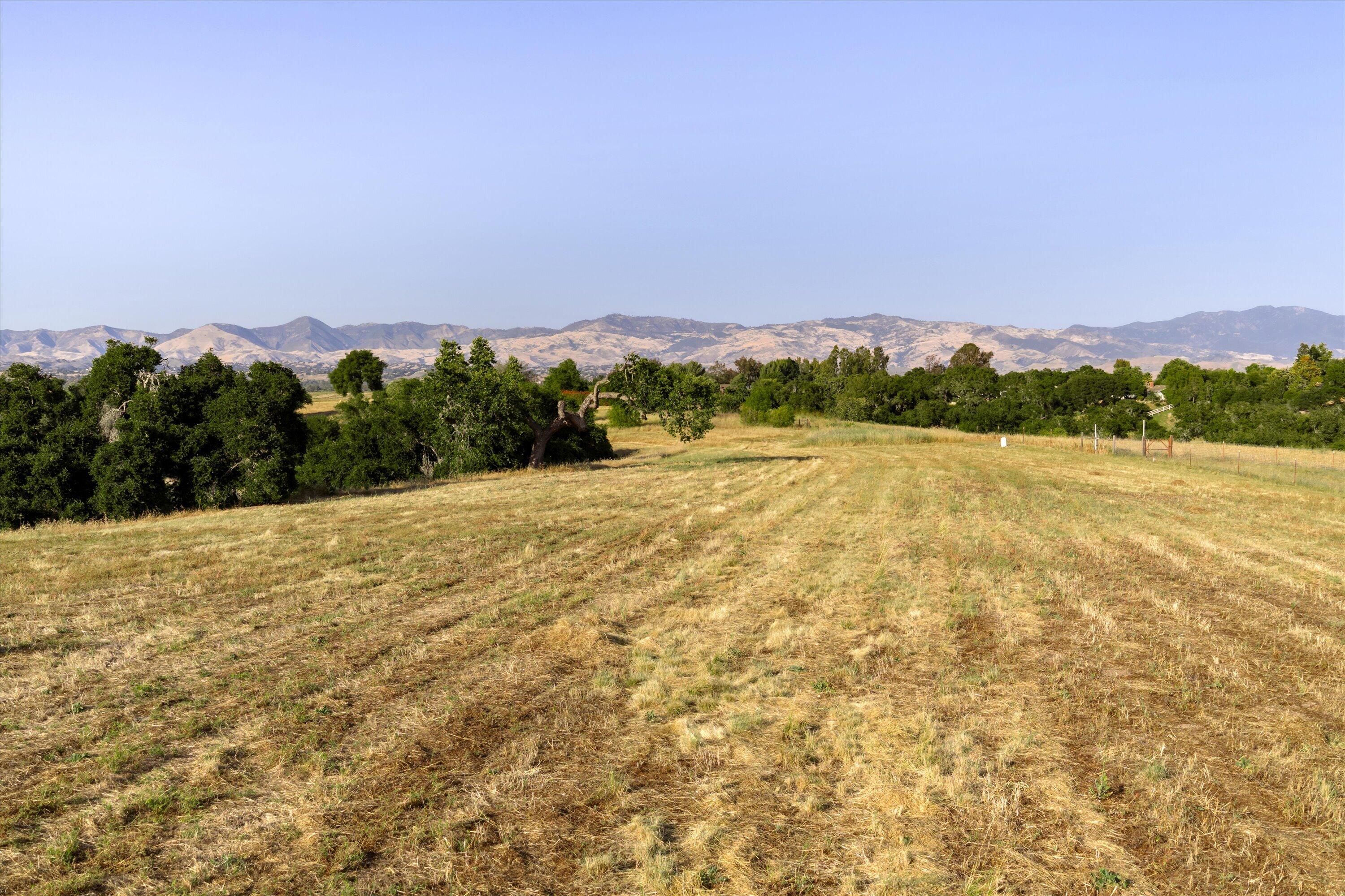 1228 Alamo Pintado Road