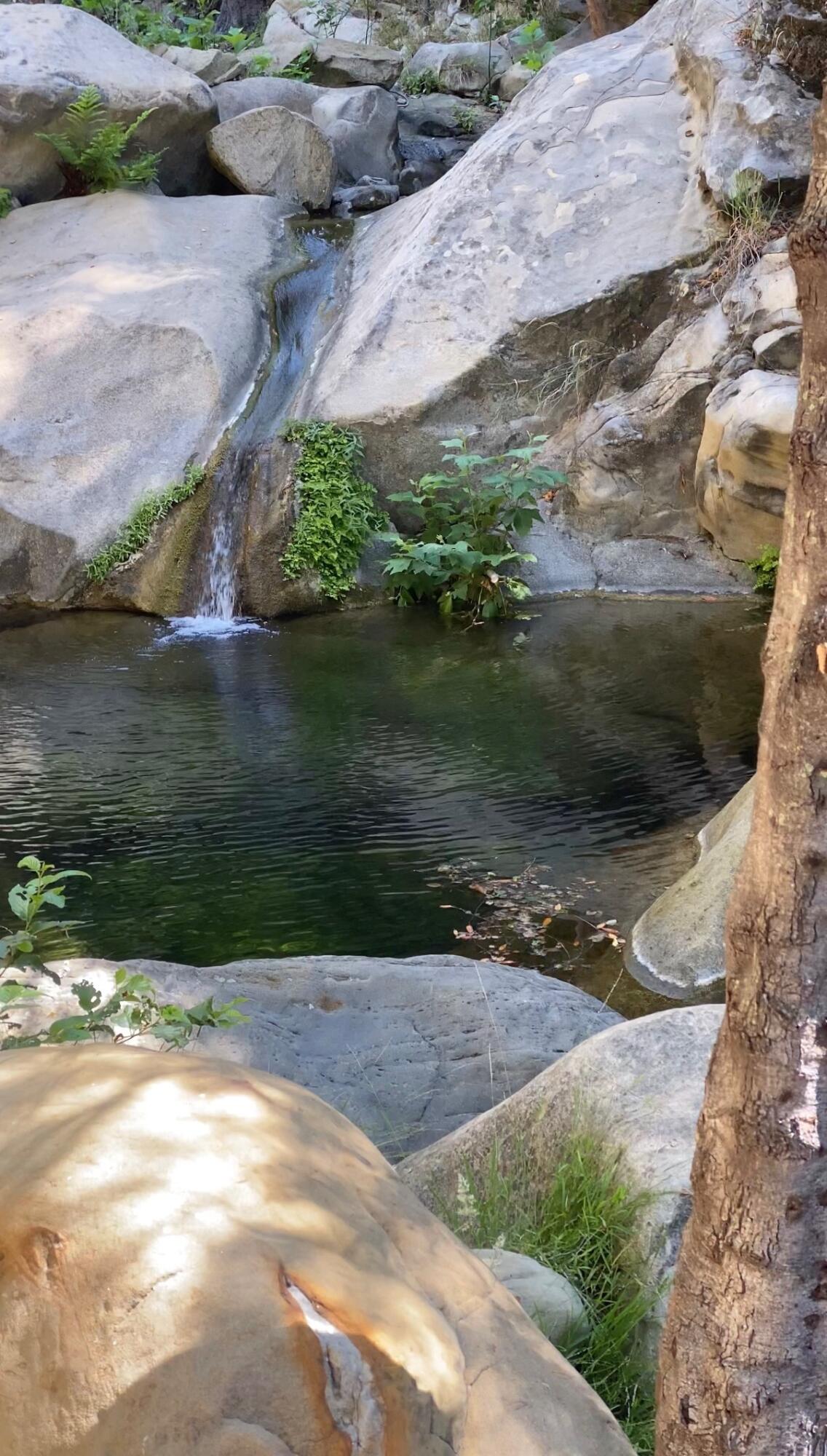 4 San Marcos Trout Club