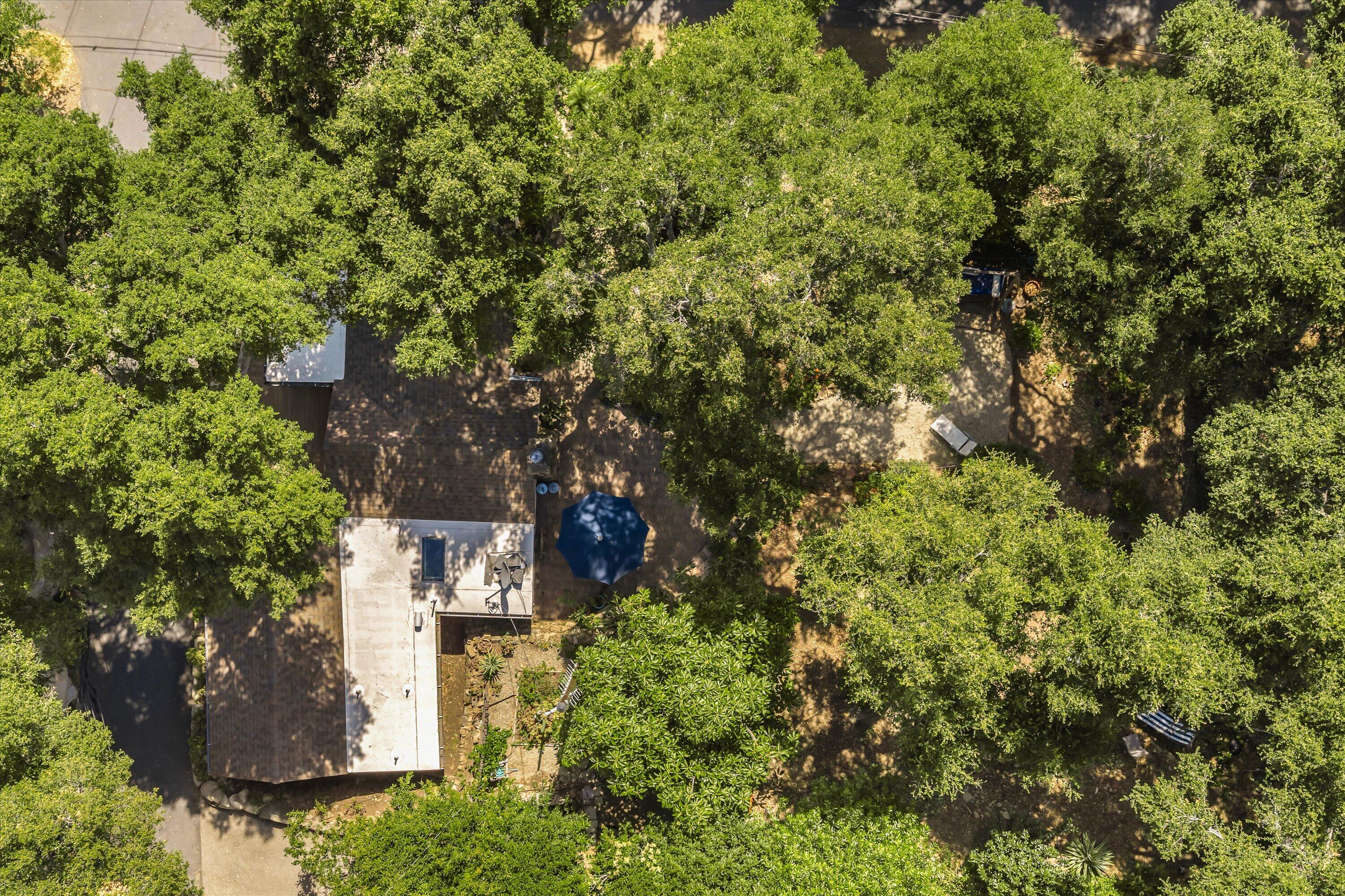 4 San Marcos Trout Club