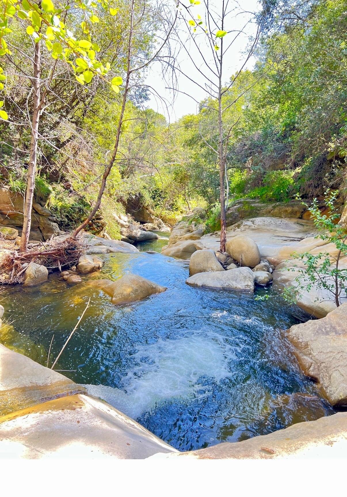 4 San Marcos Trout Club