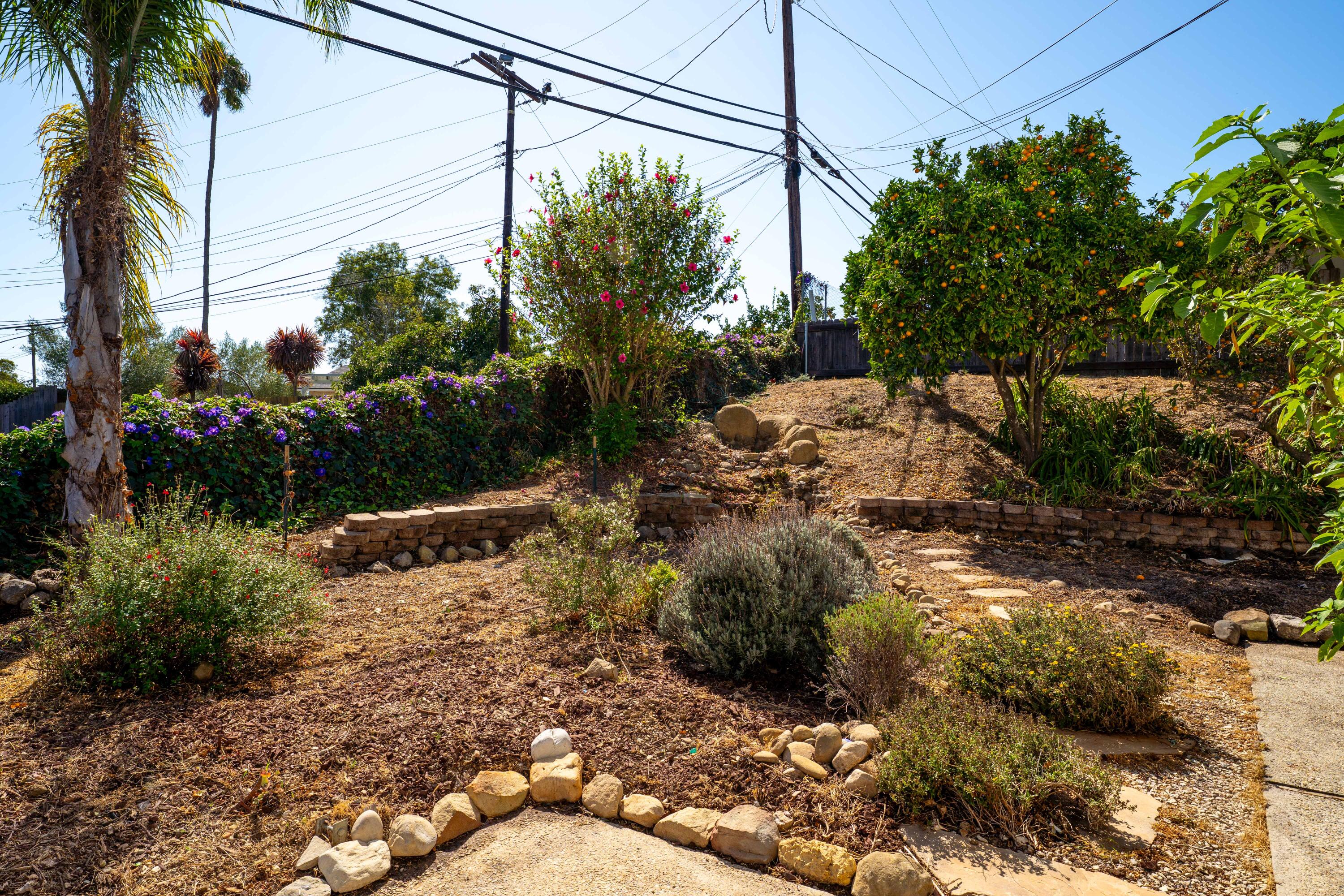 Landscaped garden with stone paths, flowering shrubs, and a citrus tree.