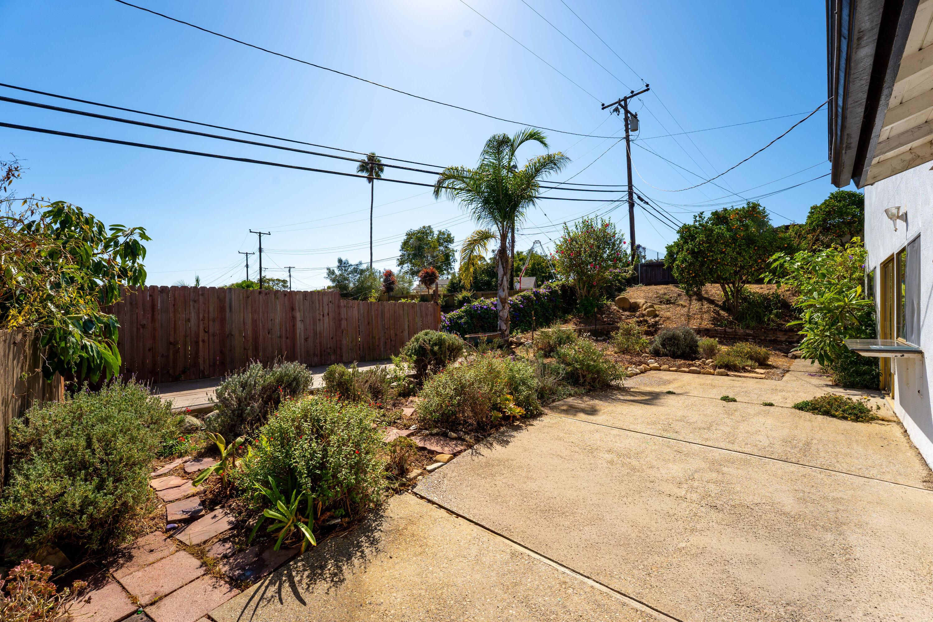Back patio and garden with a wide concrete area, flowering shrubs, palm trees, and wooden privacy fence.